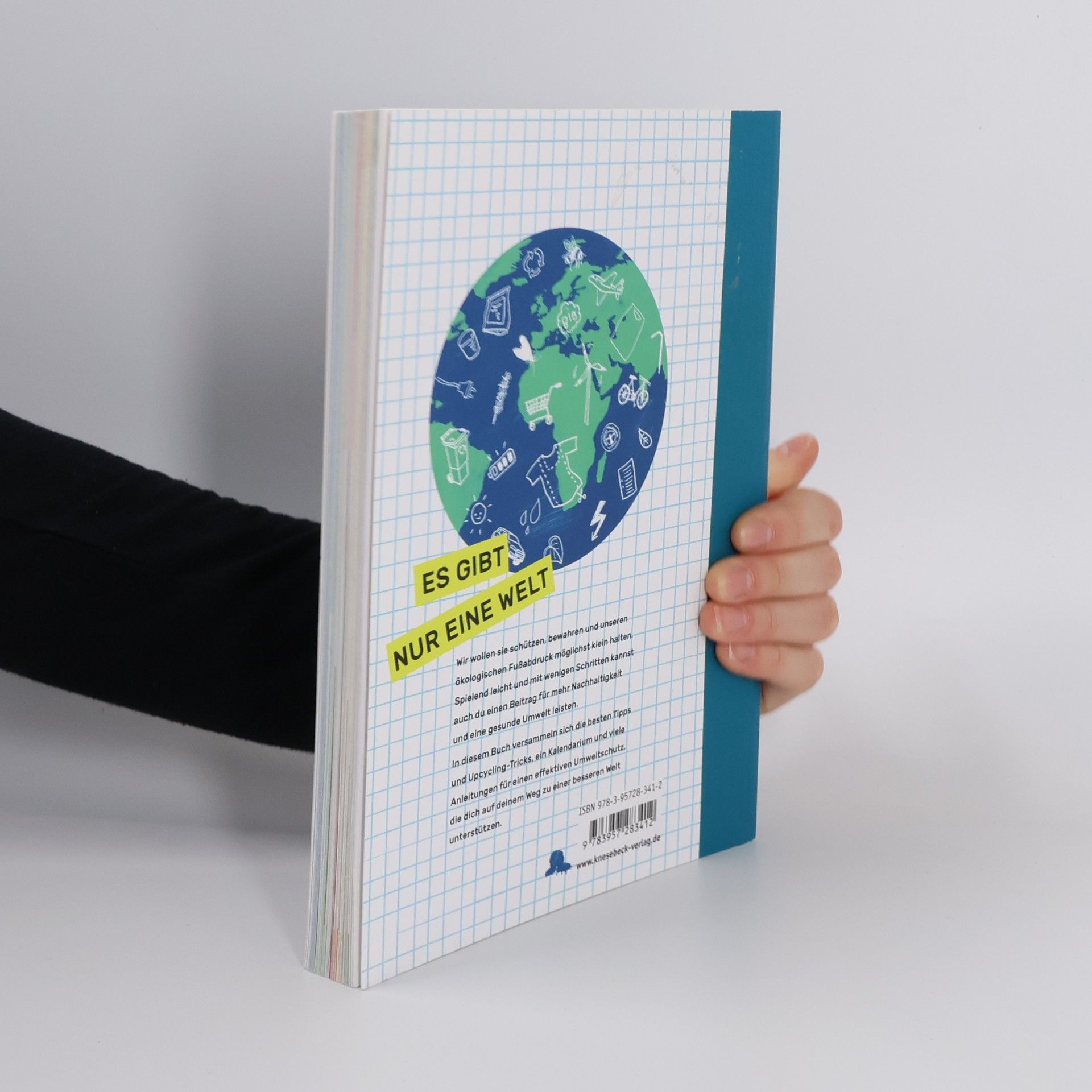 Corinna Wieja Mein grünes Tagebuch. Wie du jeden Tag das Klima und die Umwelt retten kannst