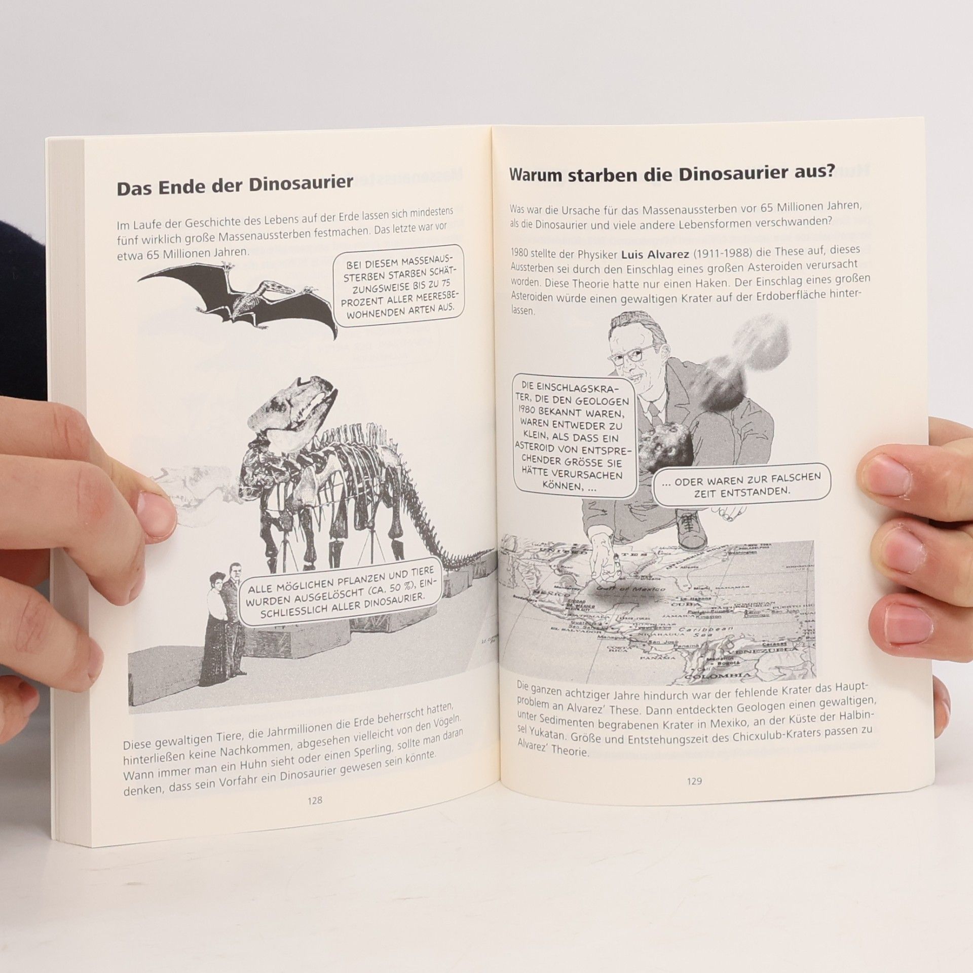 Dylan Evans INFOcomics: Evolution, ein Sachcomic