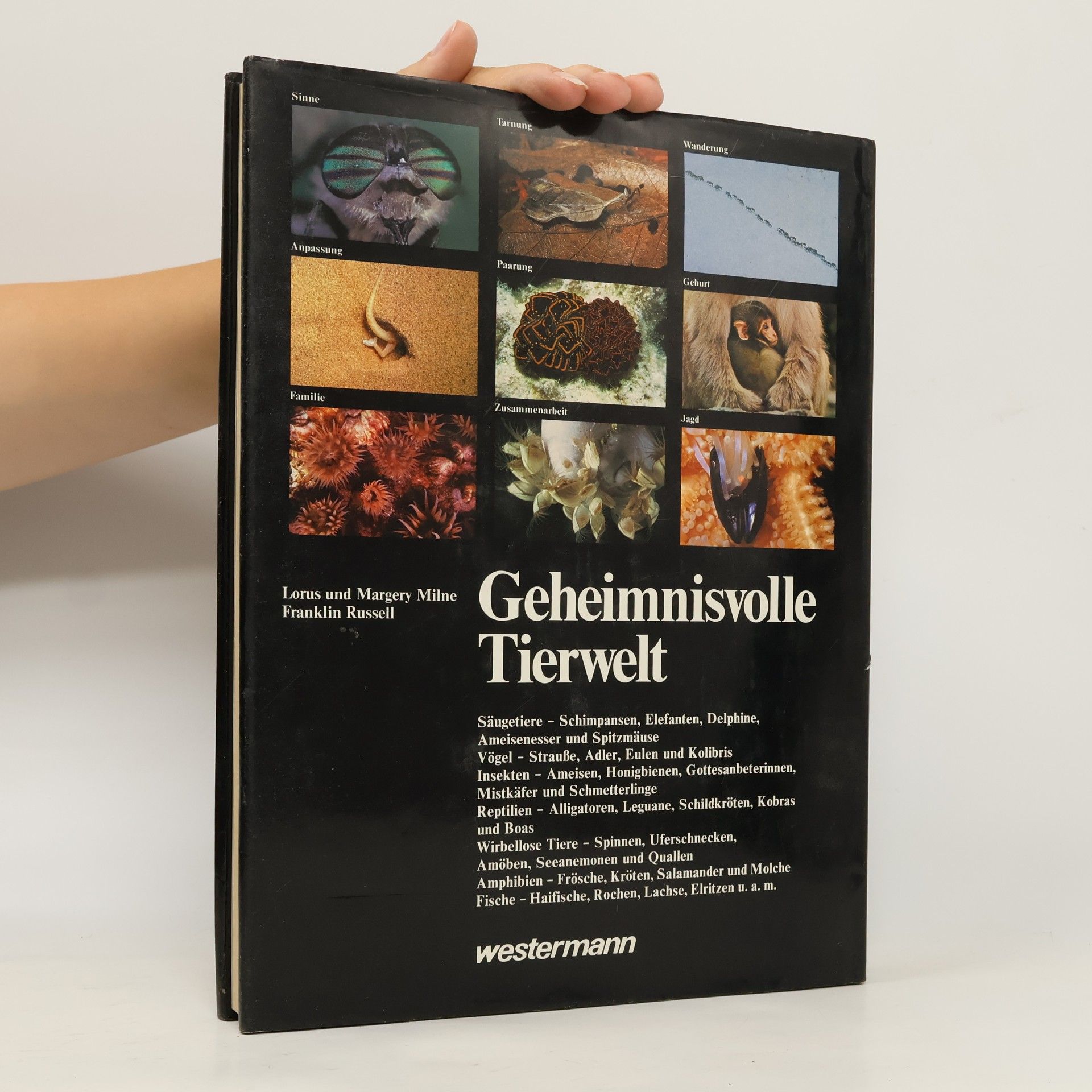 Lorus Johnson Milne Geheimnisvolle Tierwelt