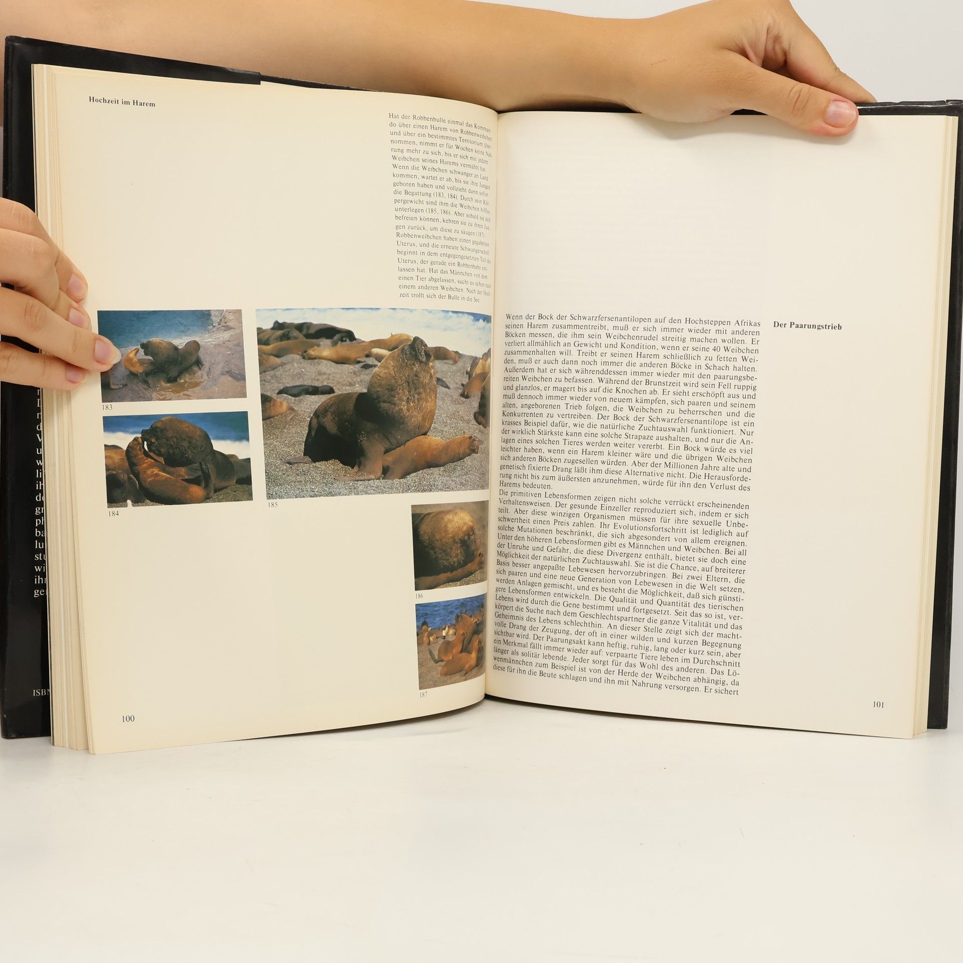 Lorus Johnson Milne Geheimnisvolle Tierwelt