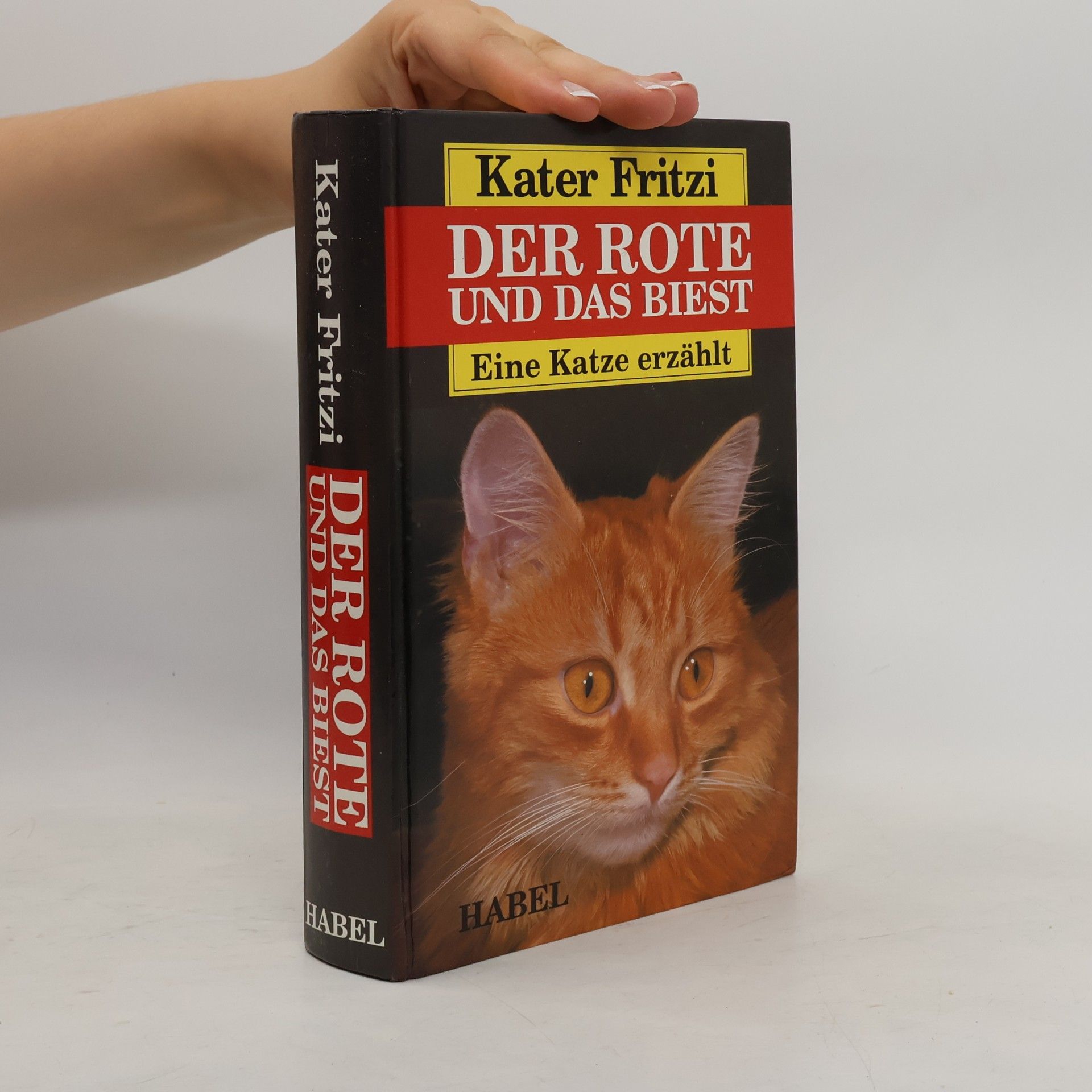 Doris. Malsch Kater Fritzi. Der Rote und das Biest
