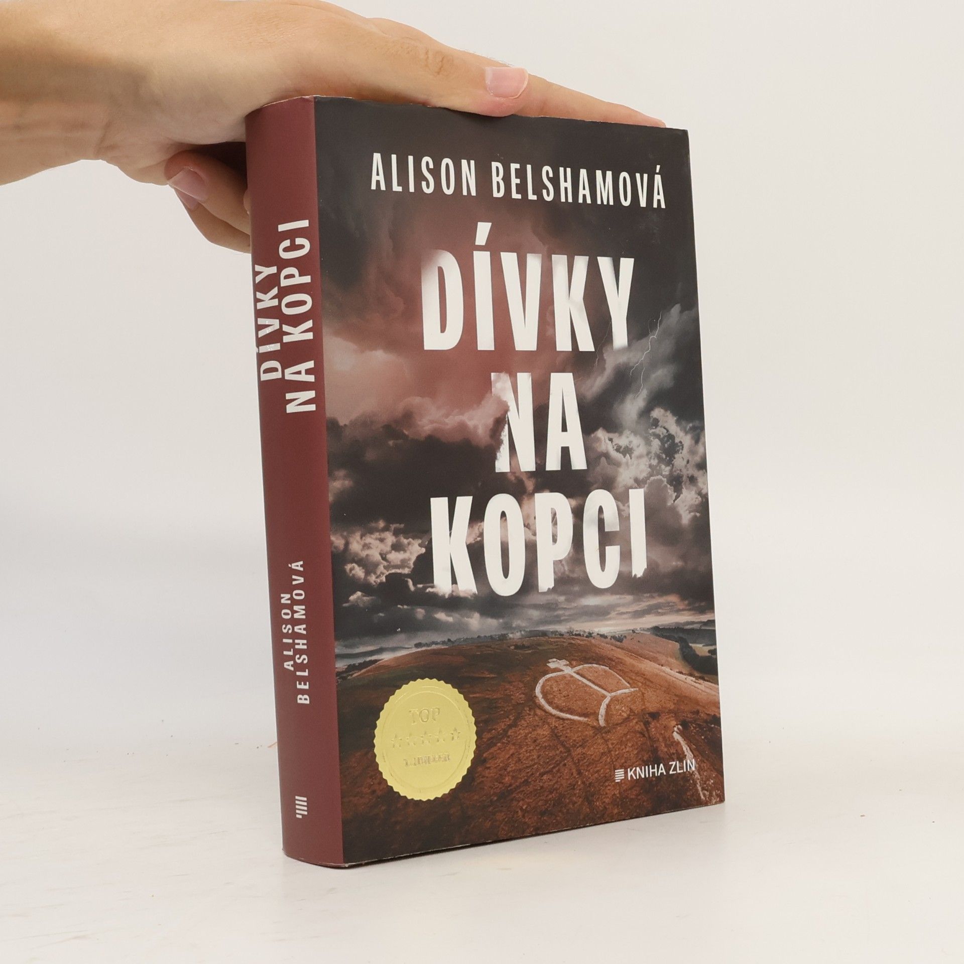 Alison Belsham Dívky na kopci
