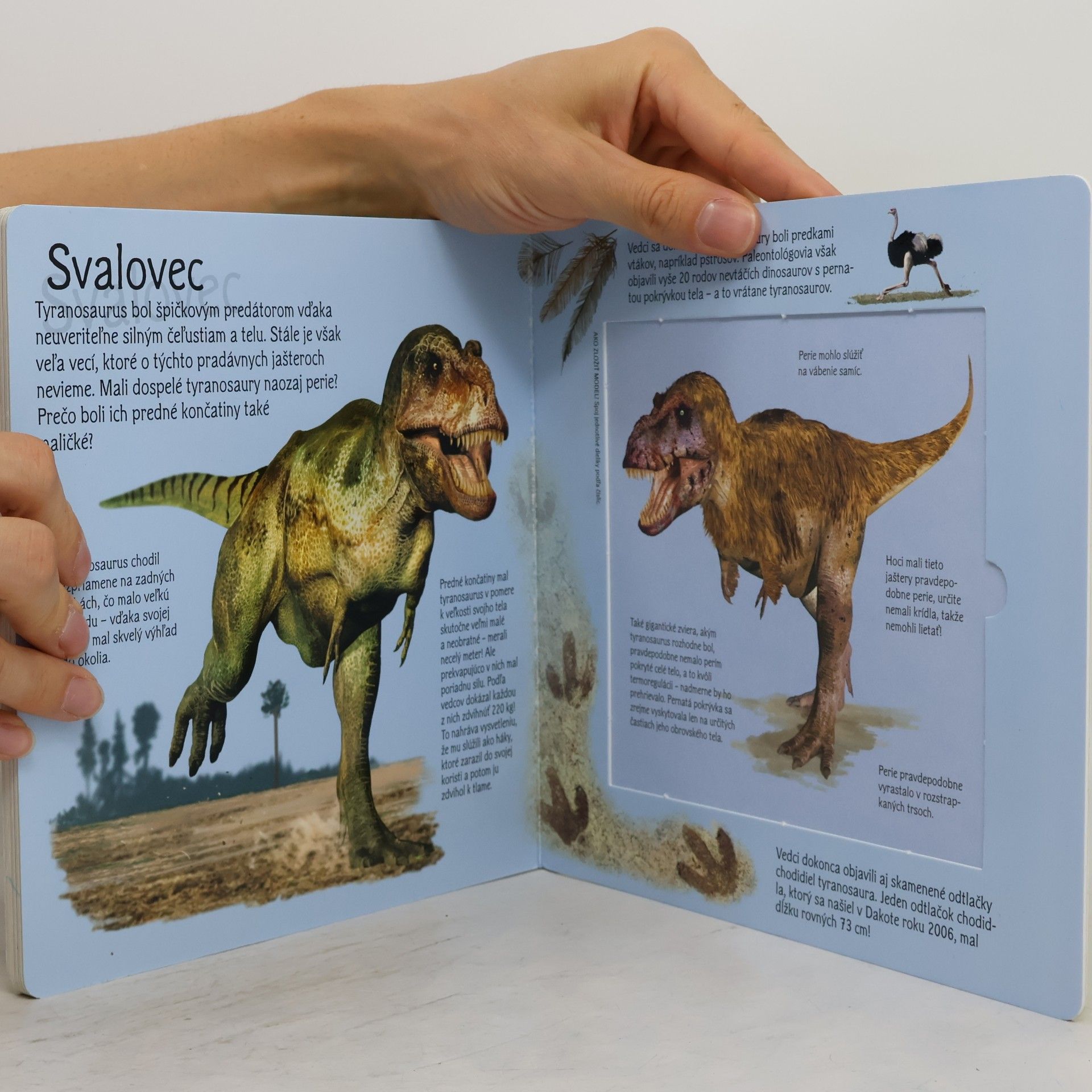 Autorenkollektiv Poskladaj si tyranosaura