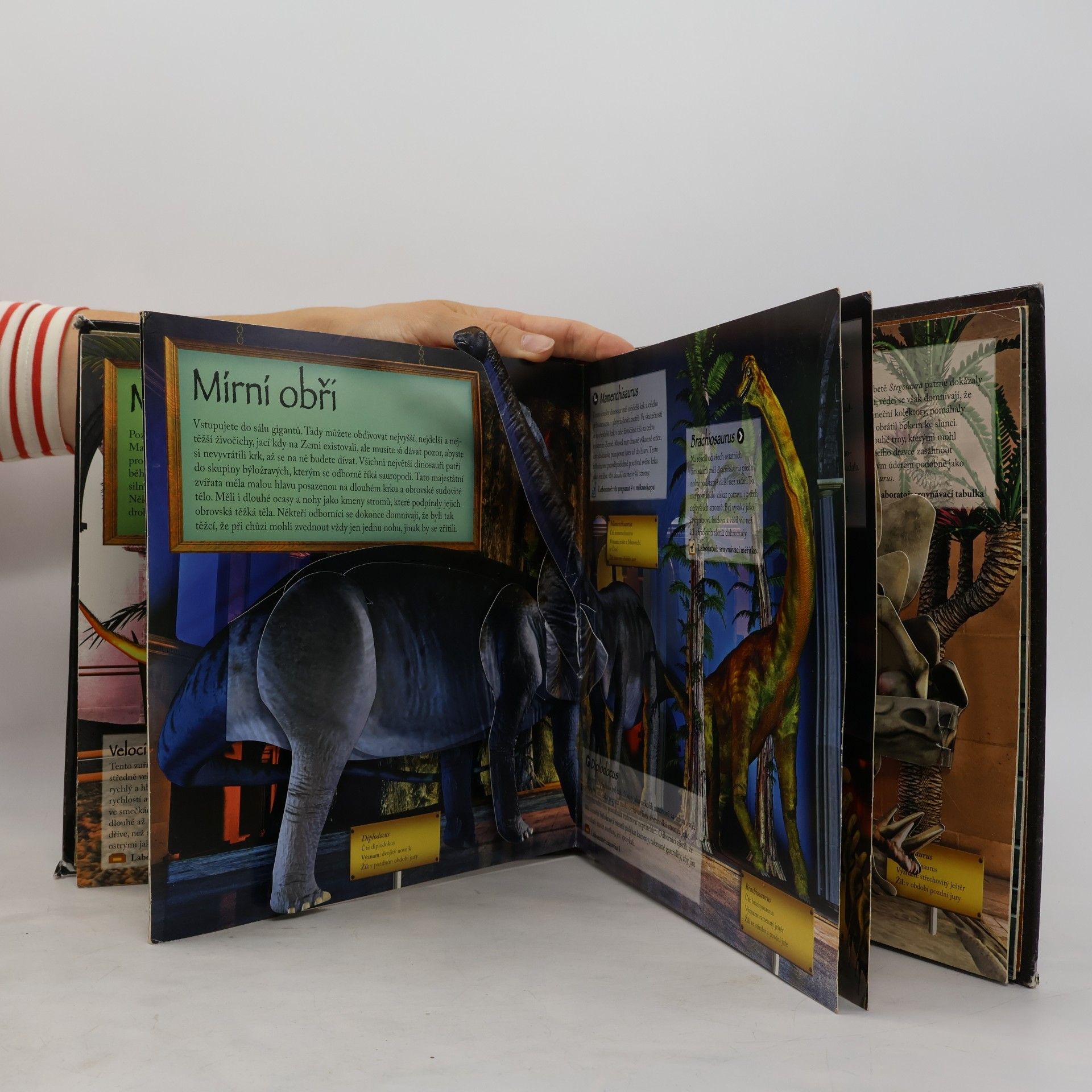 Jen Green Muzeum dinosaurů (pop-up leporelo viz foto)