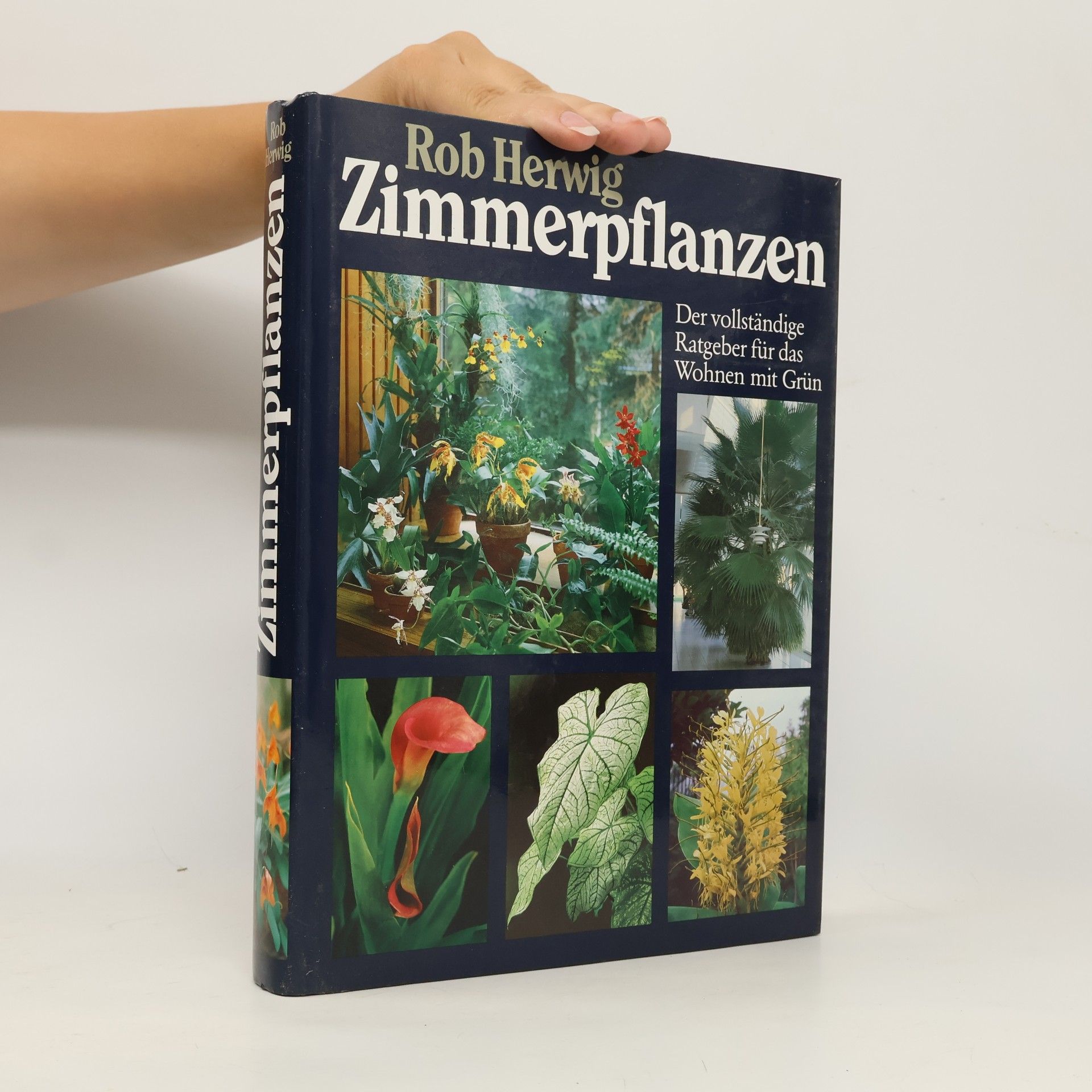 Rob Hewig Zimmerpflanzen