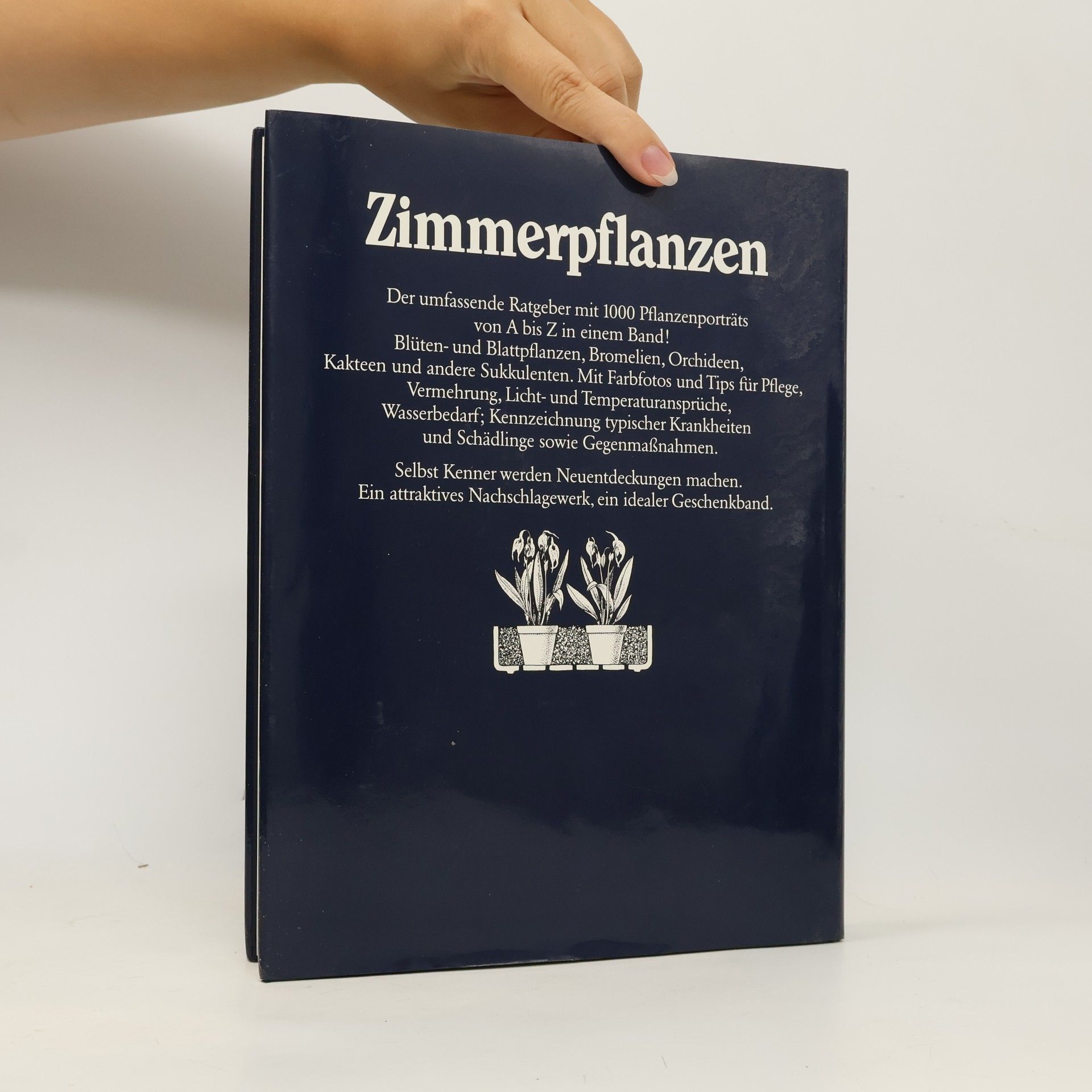 Rob Herwig Zimmerpflanzen