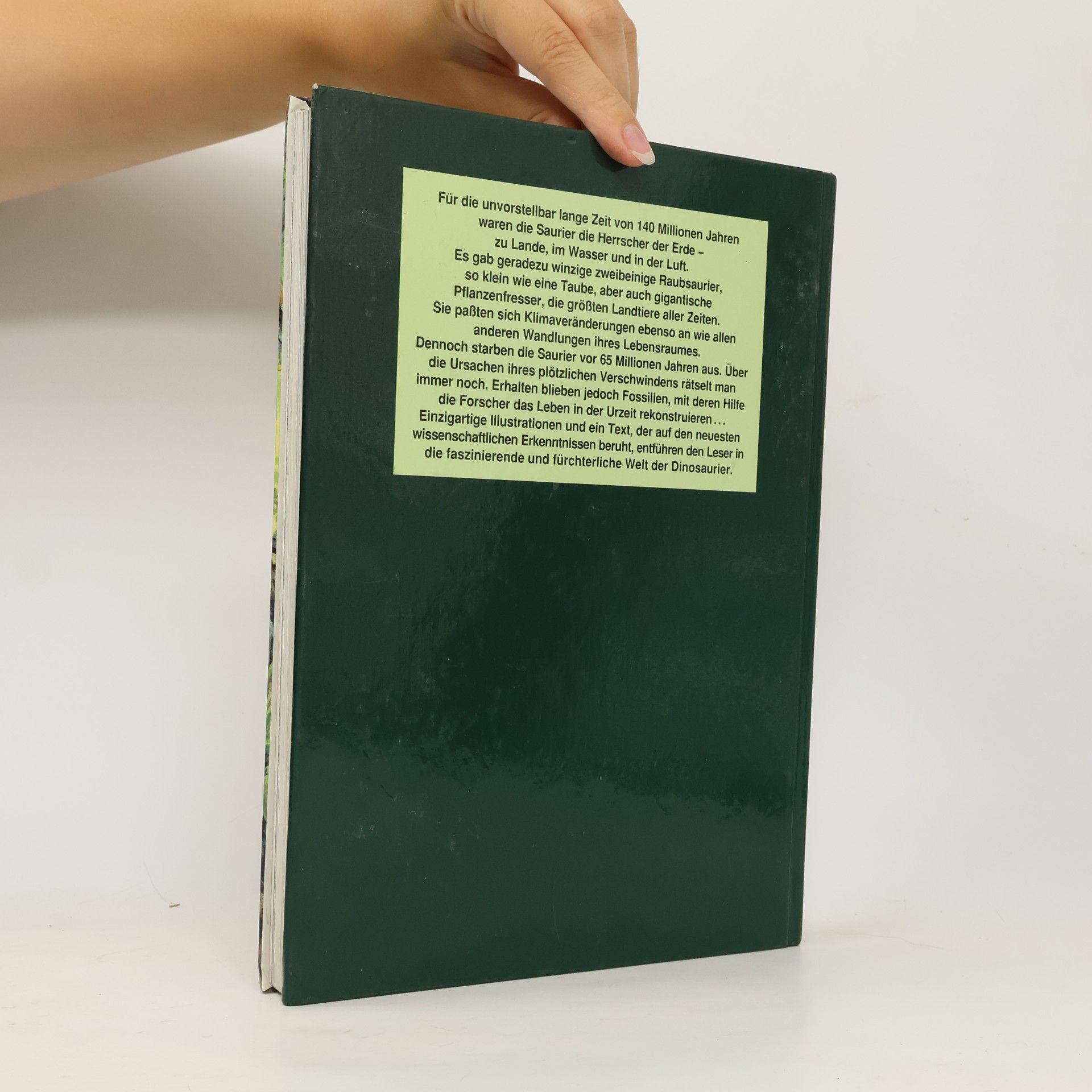 Klaus Gröper Das grosse Buch der Dinosaurier