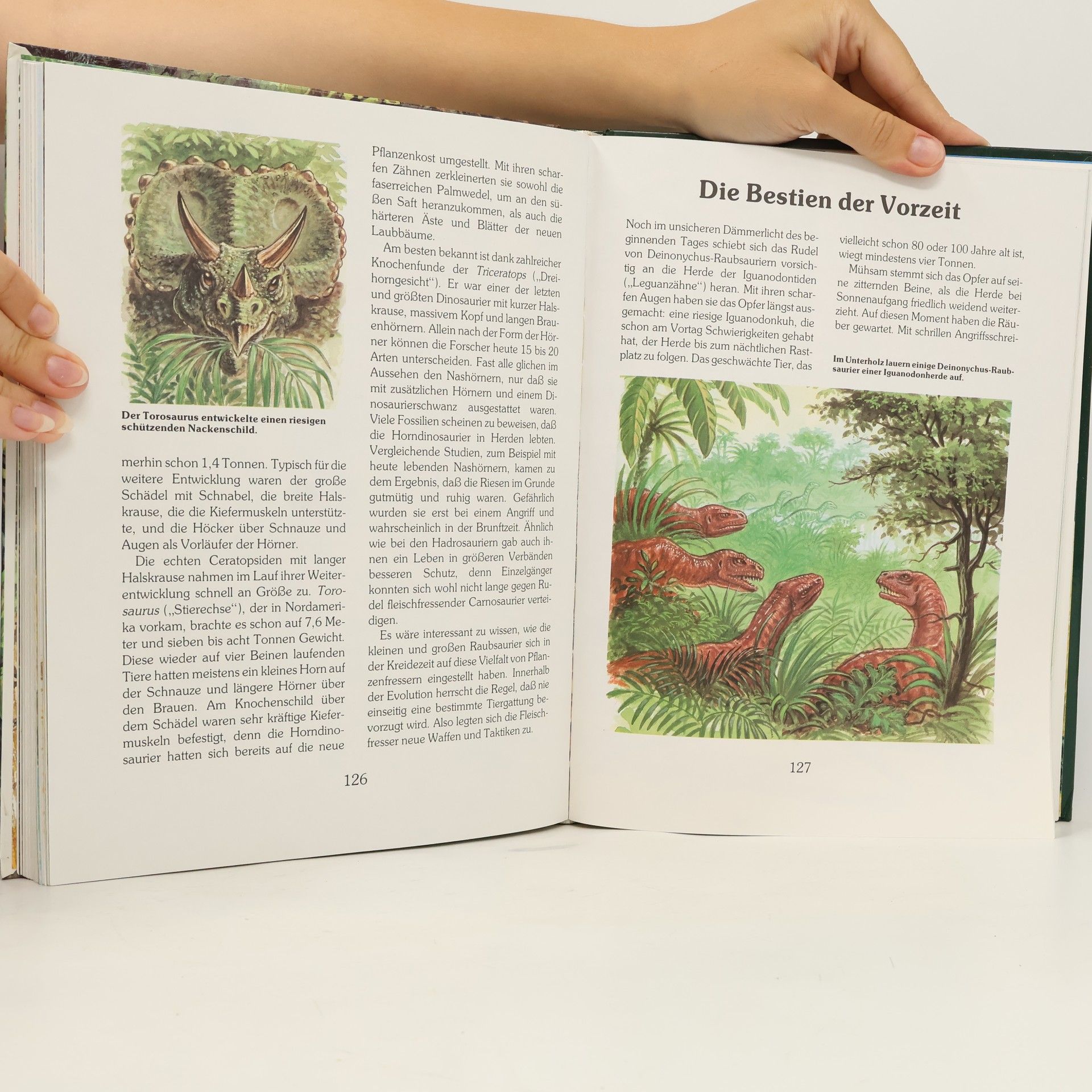 Klaus Gröper Das grosse Buch der Dinosaurier