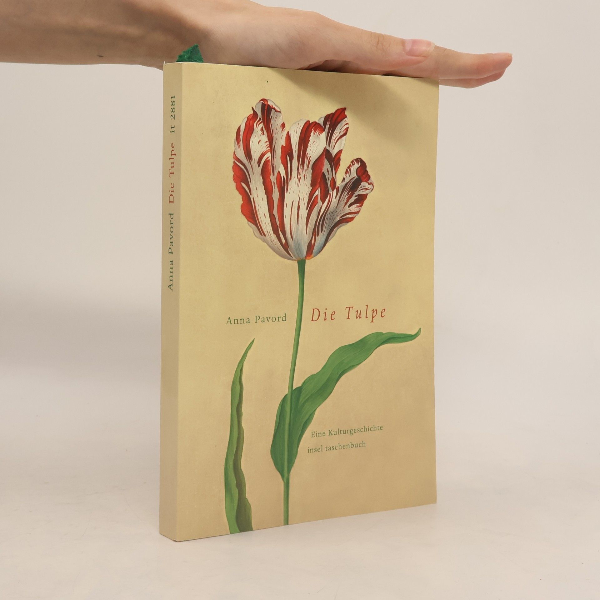 Pavord Anna Die Tulpe