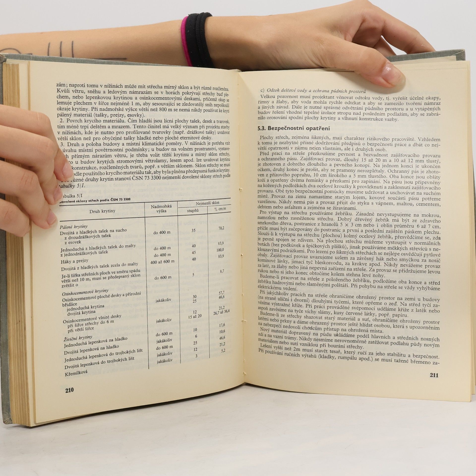 Autorenkollektiv Úprava bytu. Řemeslné práce v bytě a rodinném domku