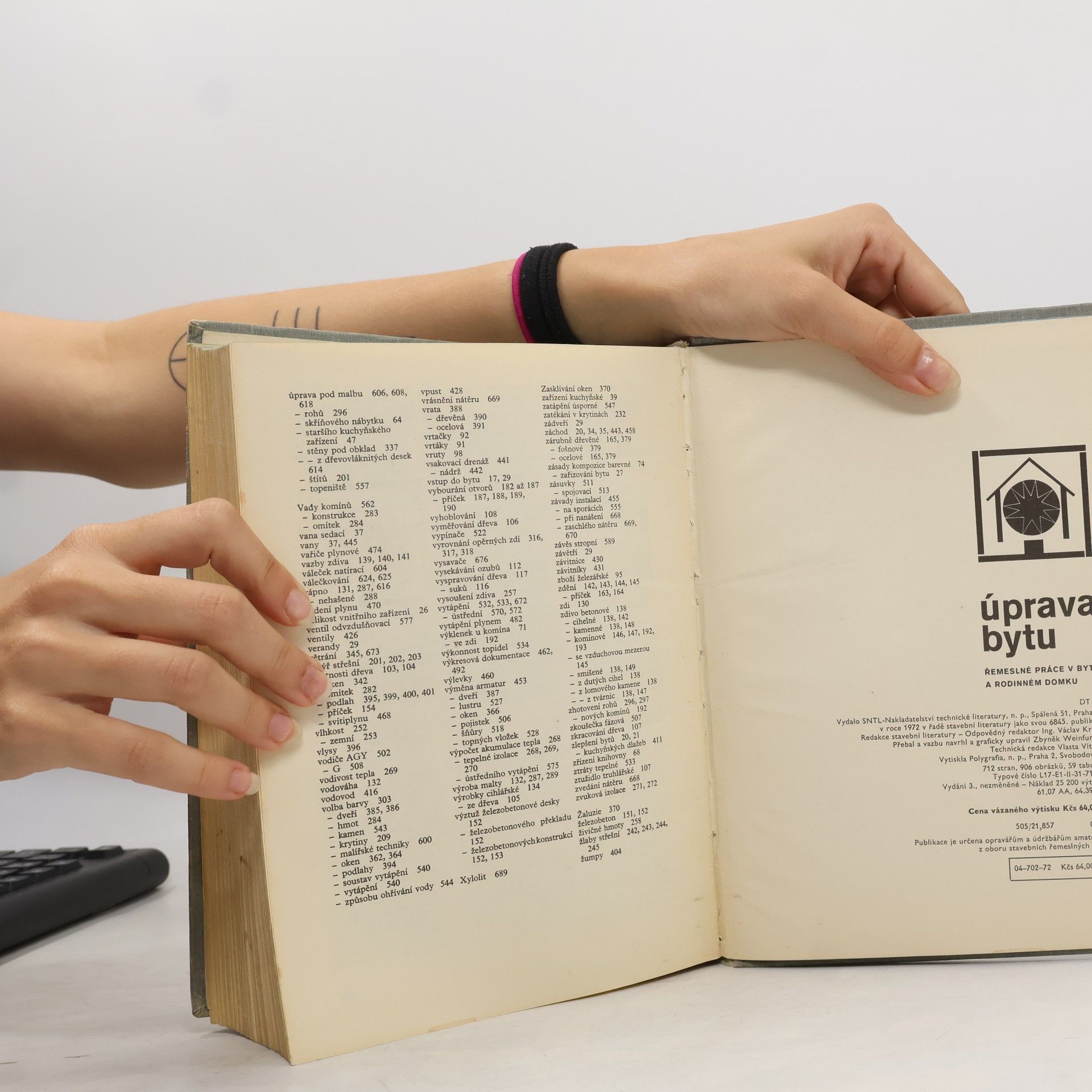 Autorenkollektiv Úprava bytu. Řemeslné práce v bytě a rodinném domku