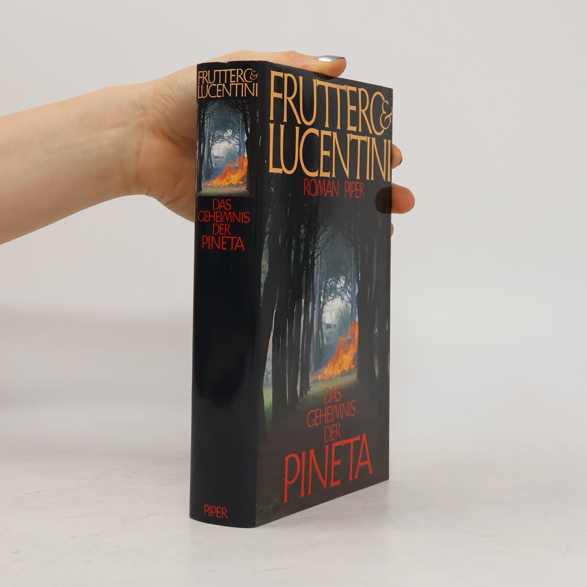 Carlo Fruttero Das Geheimnis der Pineta