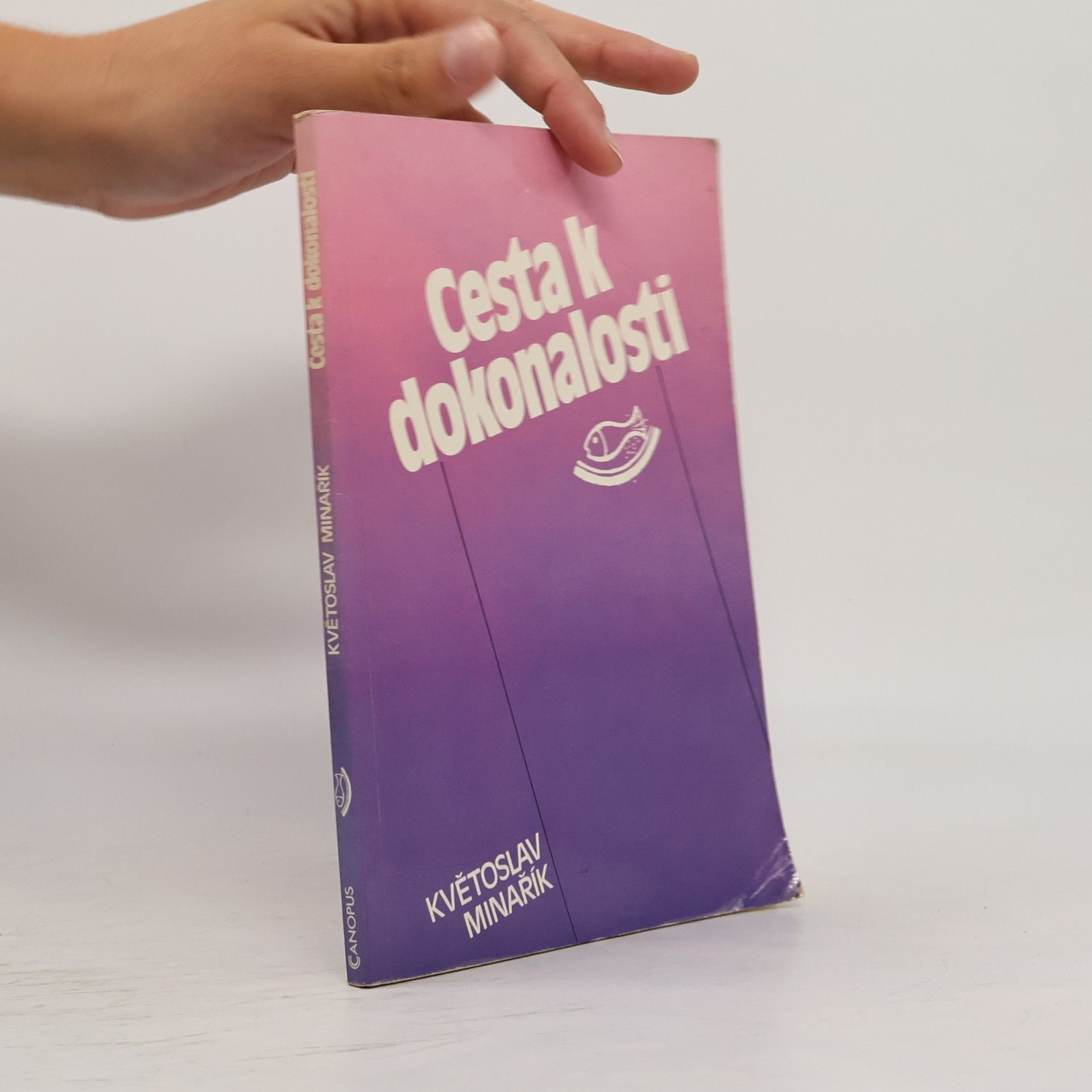 Kvetoslav Minarik Cesta k dokonalosti