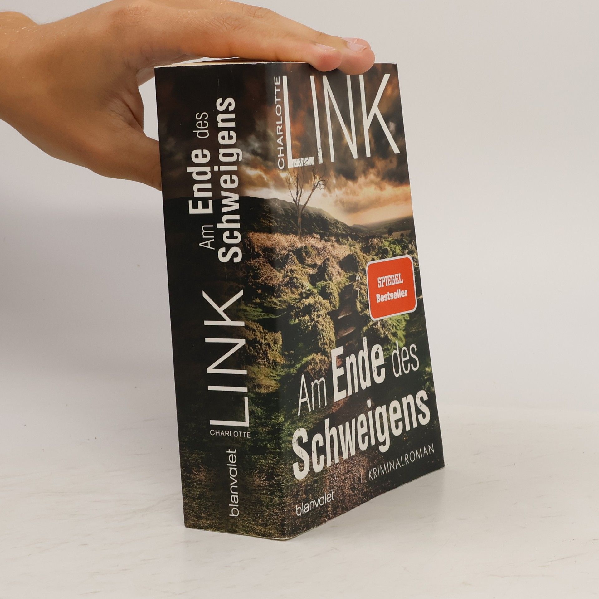 Charlotte Link Am Ende des Schweigens