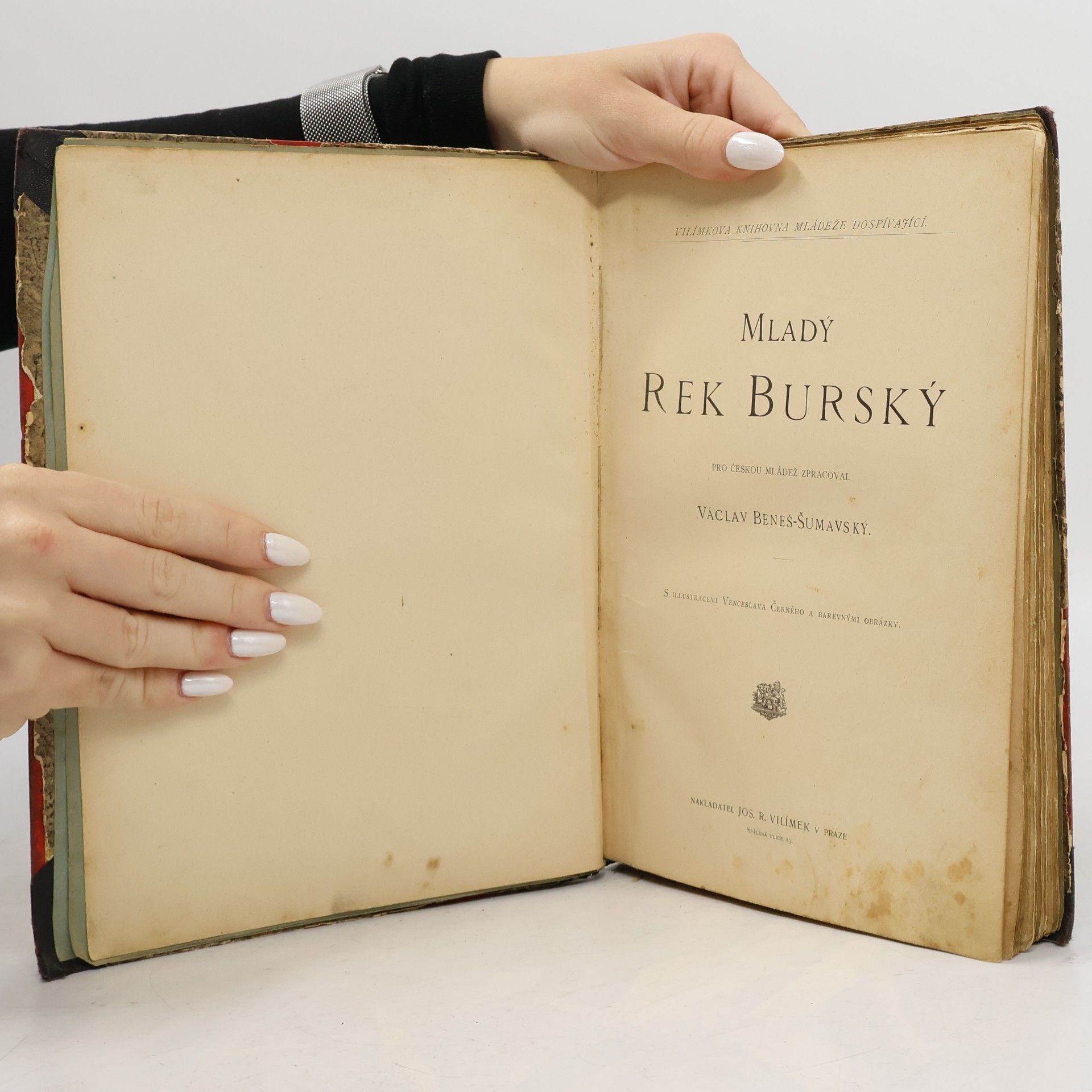 Václav Beneš-Šumavský Mladý rek Burský
