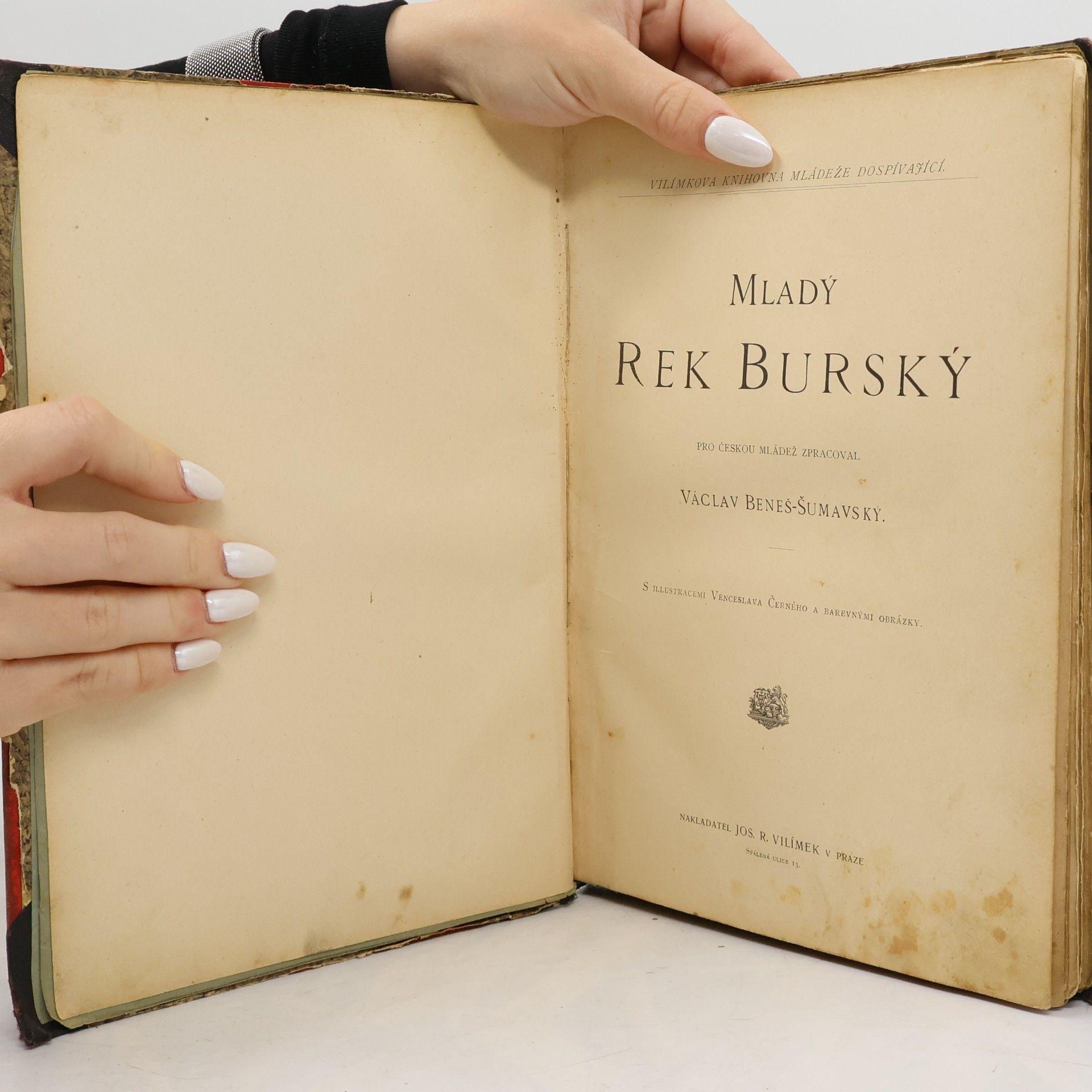 Václav Beneš-Šumavský Mladý rek Burský