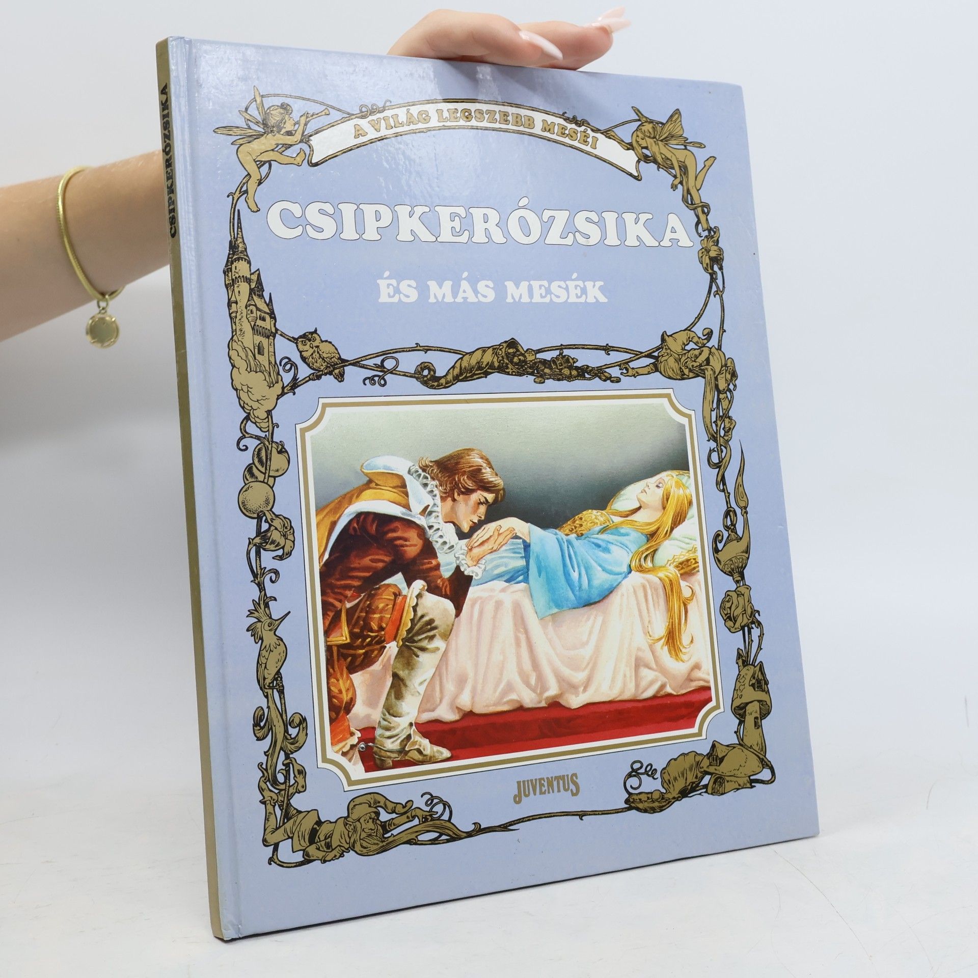 Autorenkollektiv Csipkerószika és más mesék
