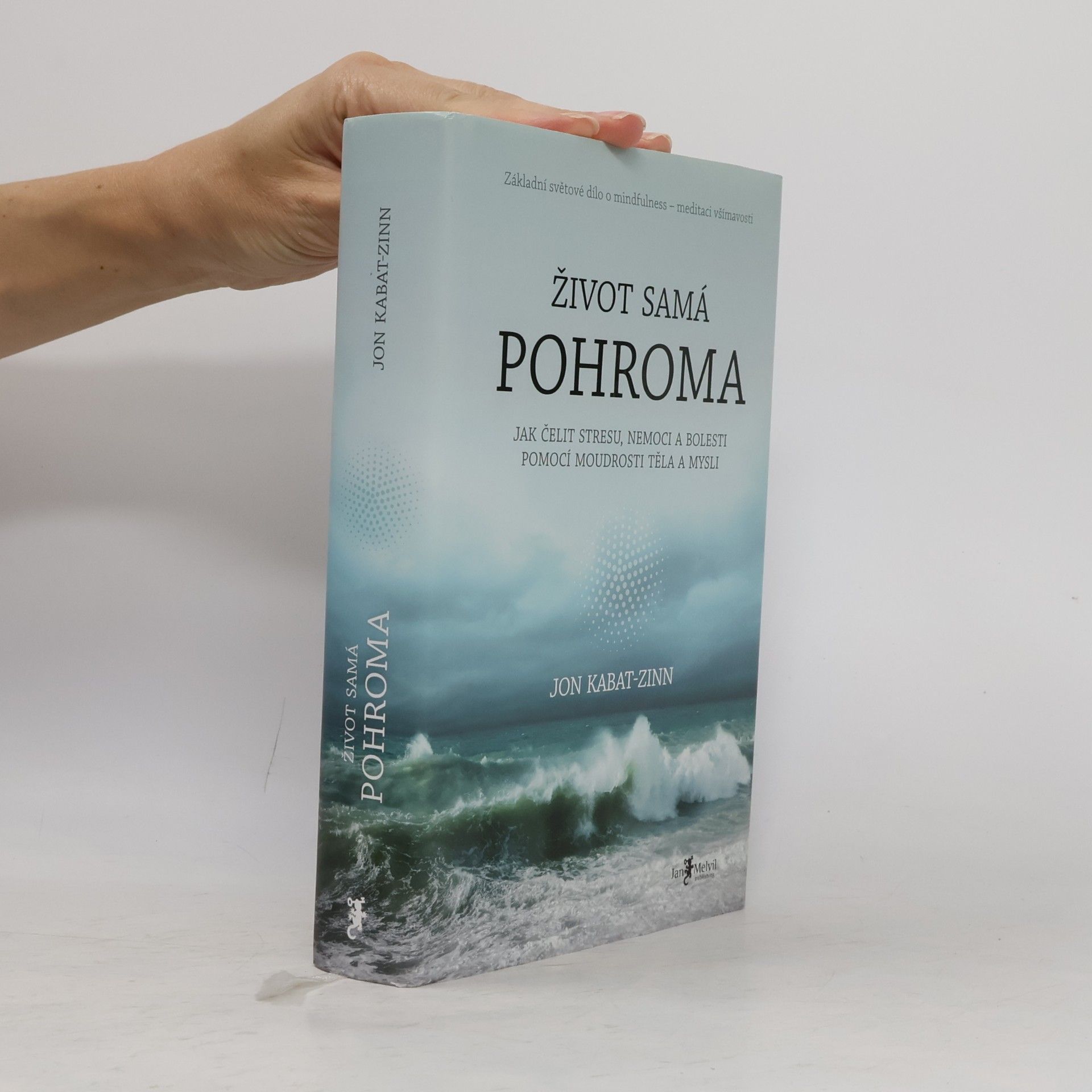 Jon Kabat-Zinn Život samá pohroma
