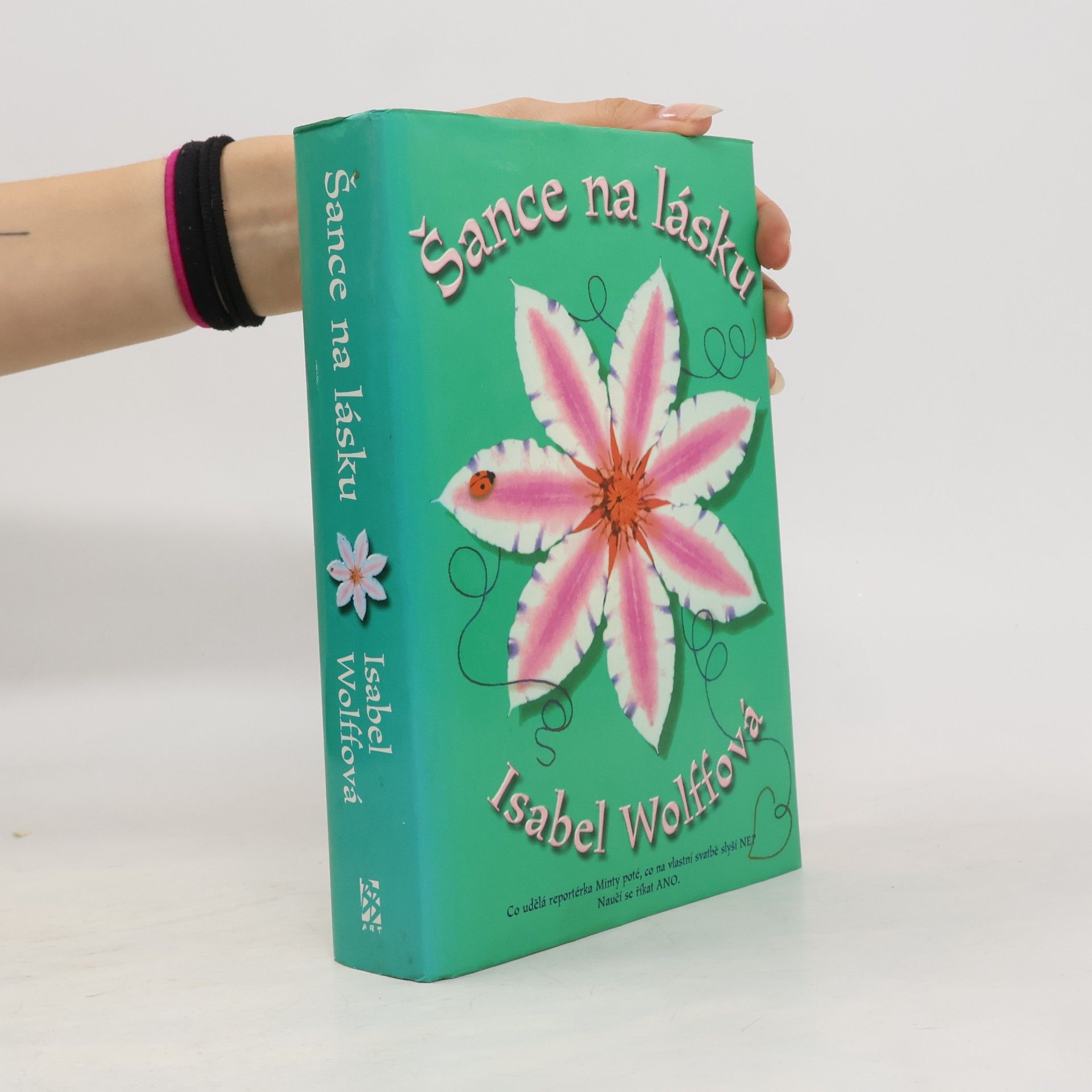 Isabel Wolff Šance na lásku