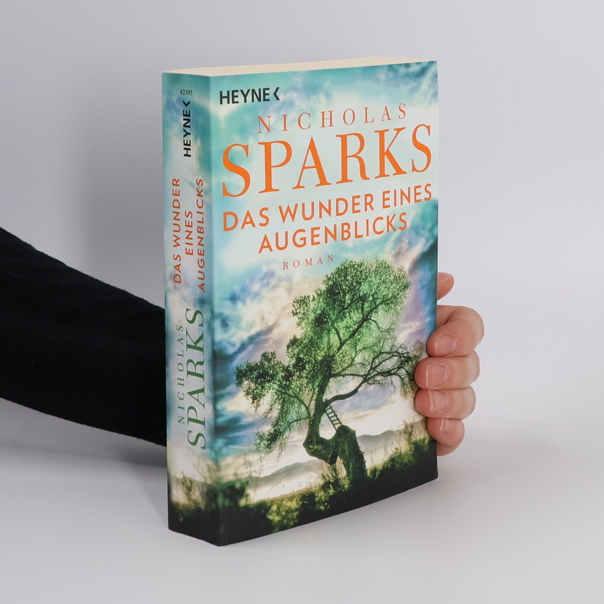 Nicholas Sparks Das Wunder eines Augenblicks