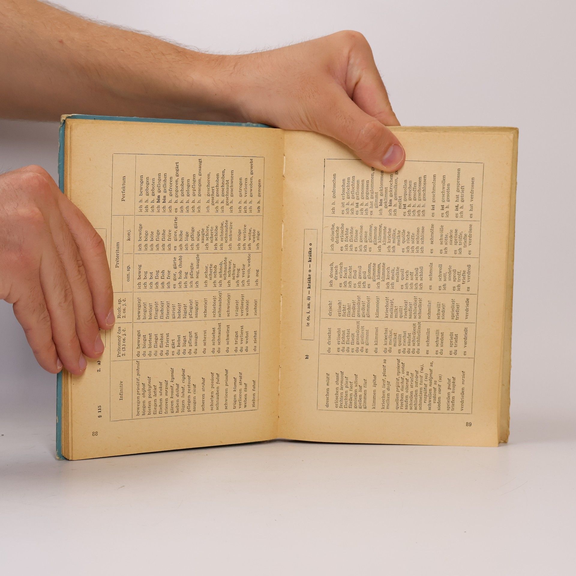 Autorenkollektiv Gramatika nemčiny