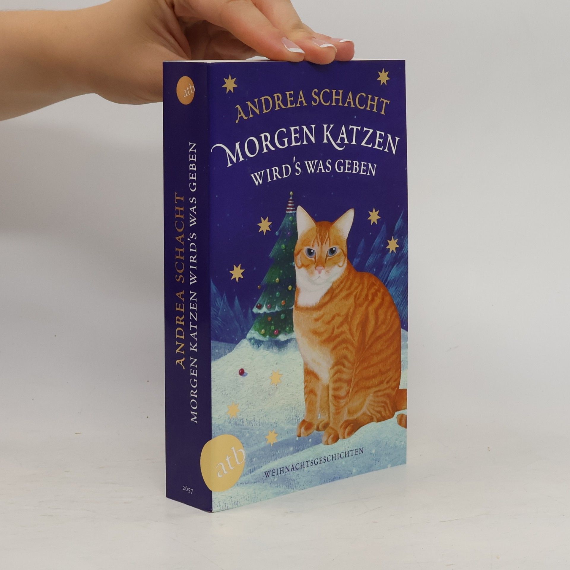 Andrea Schacht Morgen Katzen. Wird's Was Gegen