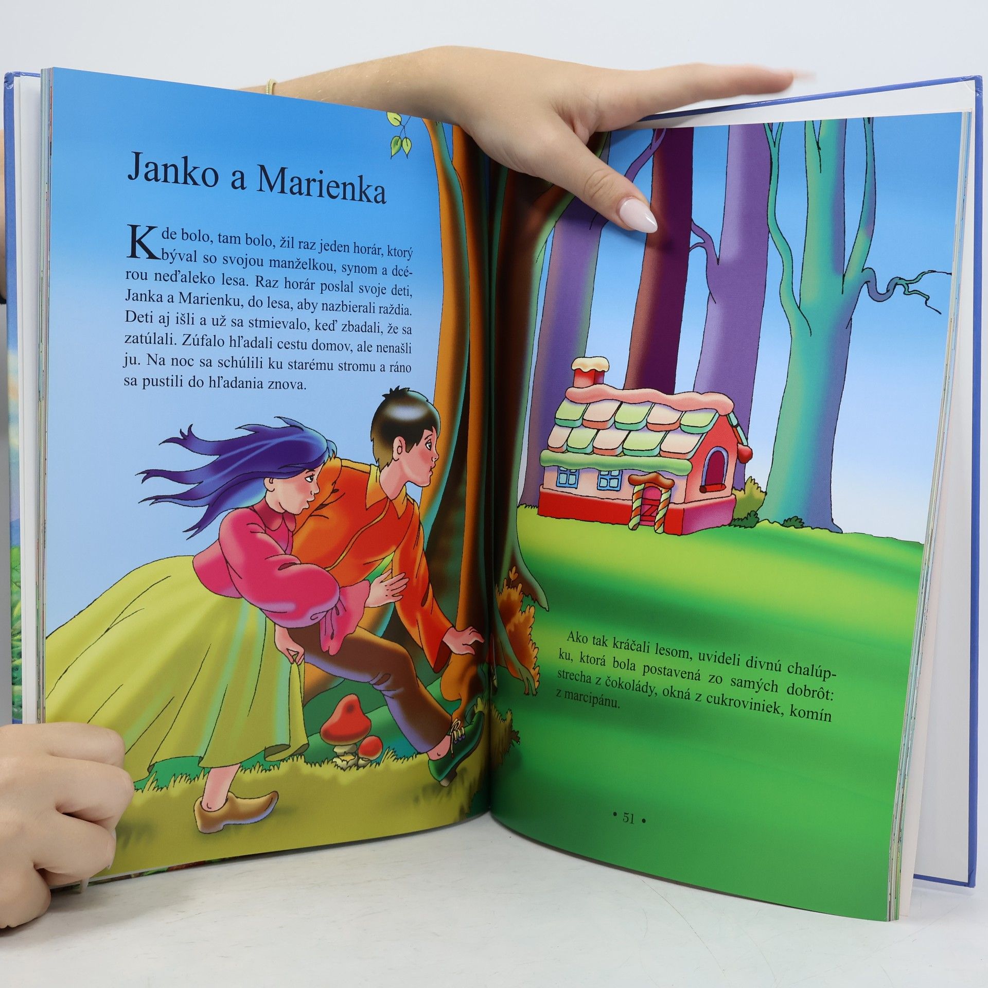 Autorenkollektiv 12 obľúbených rozprávok
