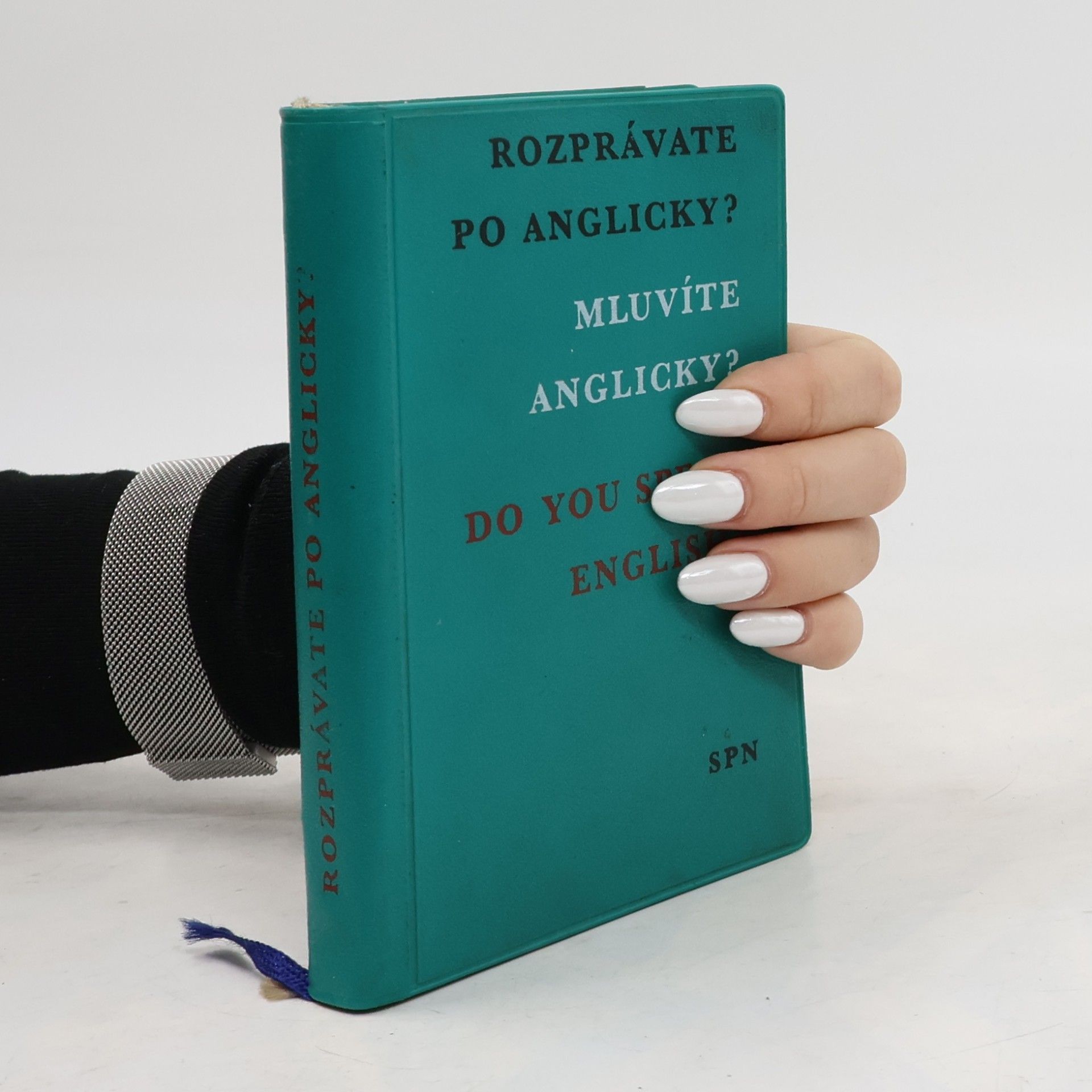 Kolektív autorov Rozprávate po anglicky? Mluvíte anglicky? Do you speak English?