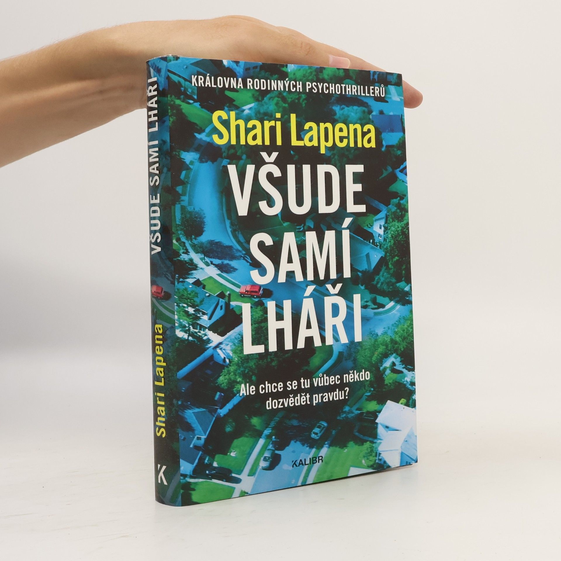 Shari Lapena Všude samí lháři