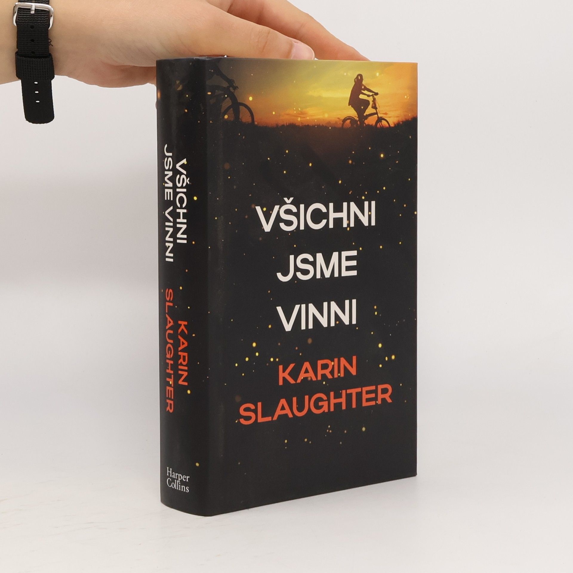 Karin Slaughter Všichni jsme vinni