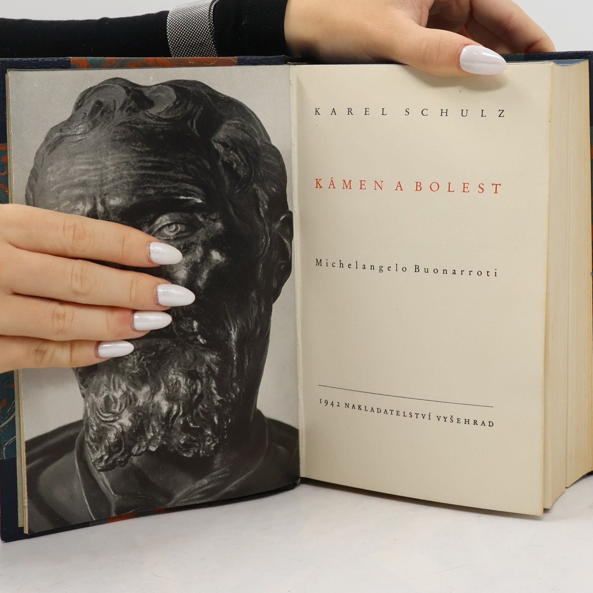 Karel Schulz Kámen a bolest