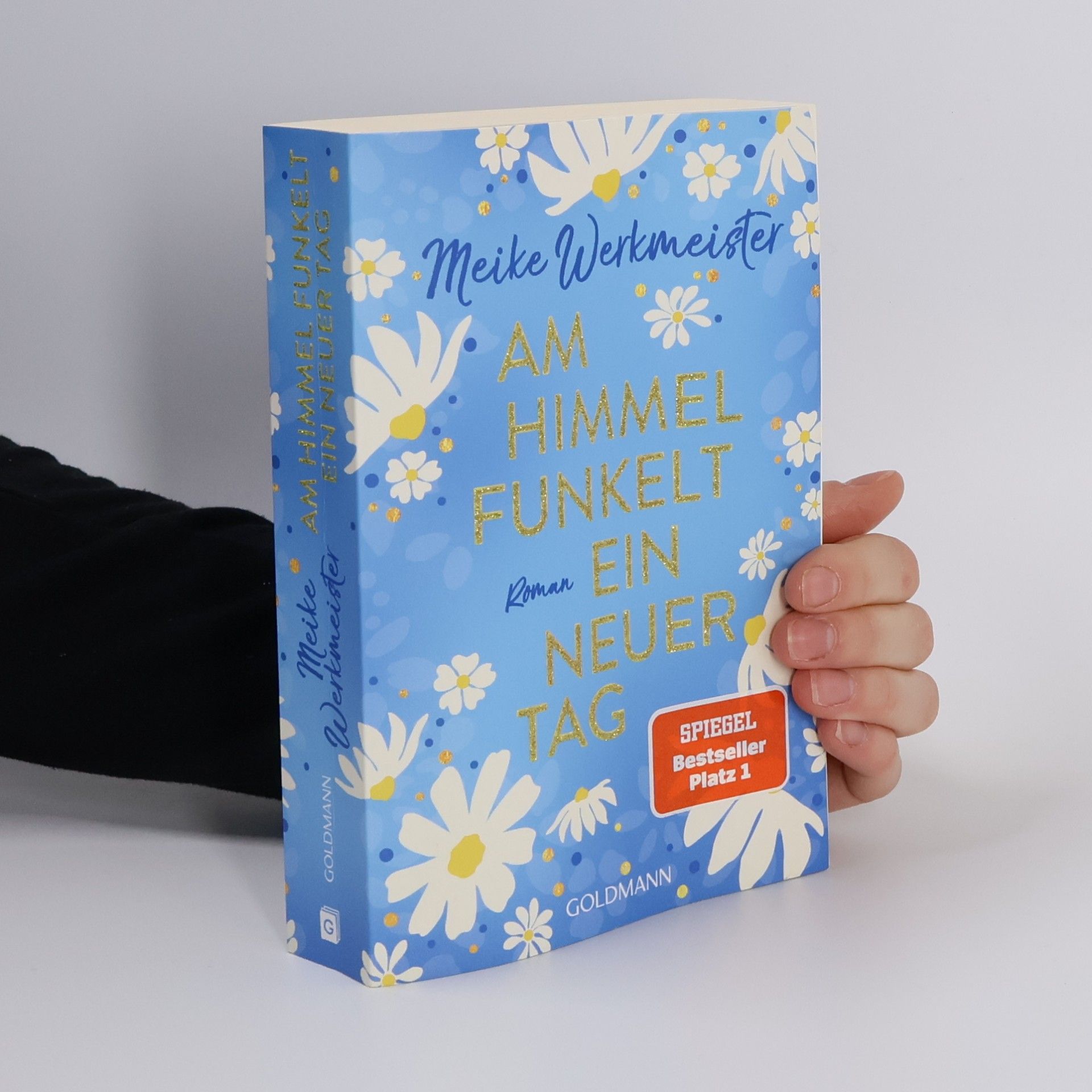 Meike Werkmeister Am Himmel funkelt ein neuer Tag