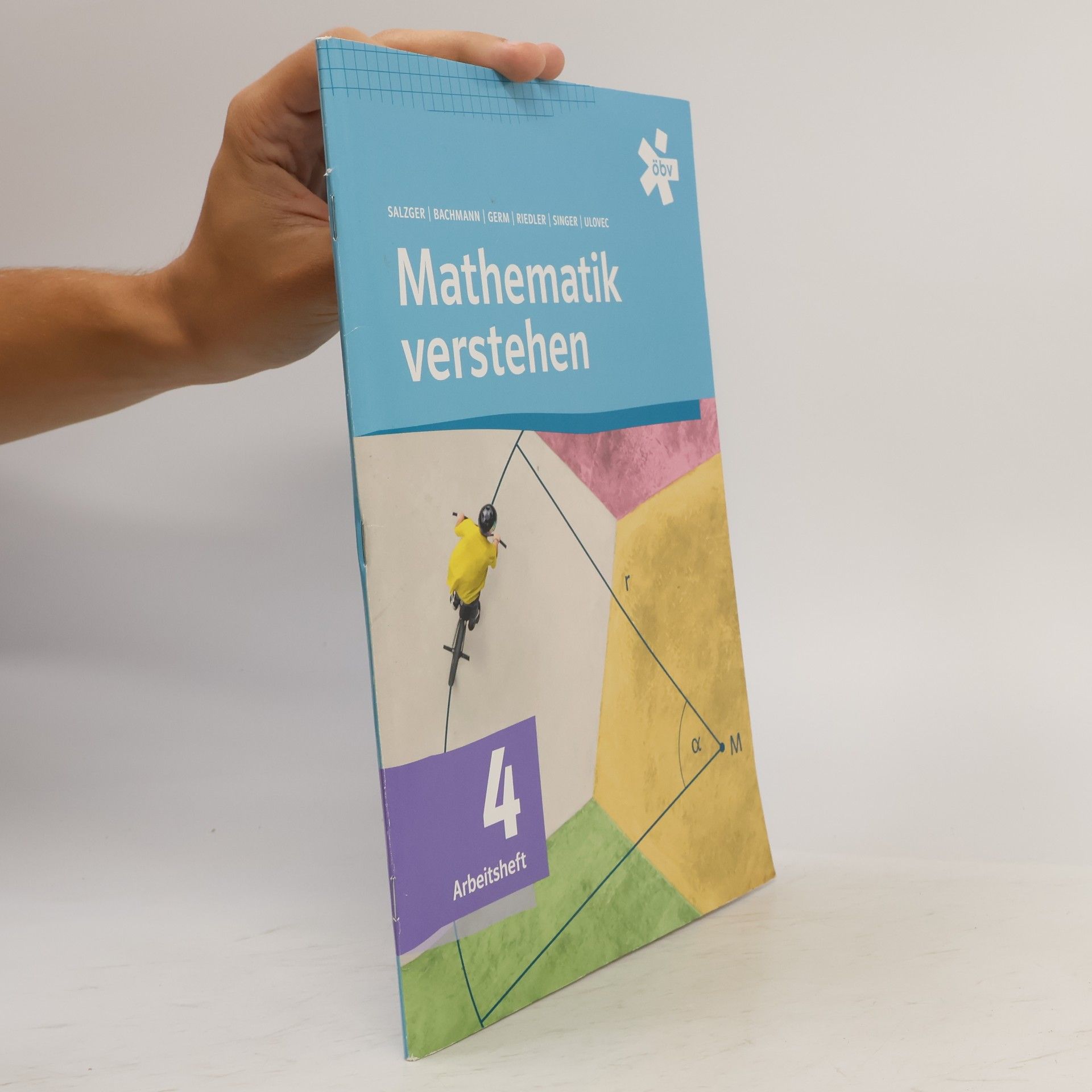 Mathematik verstehen