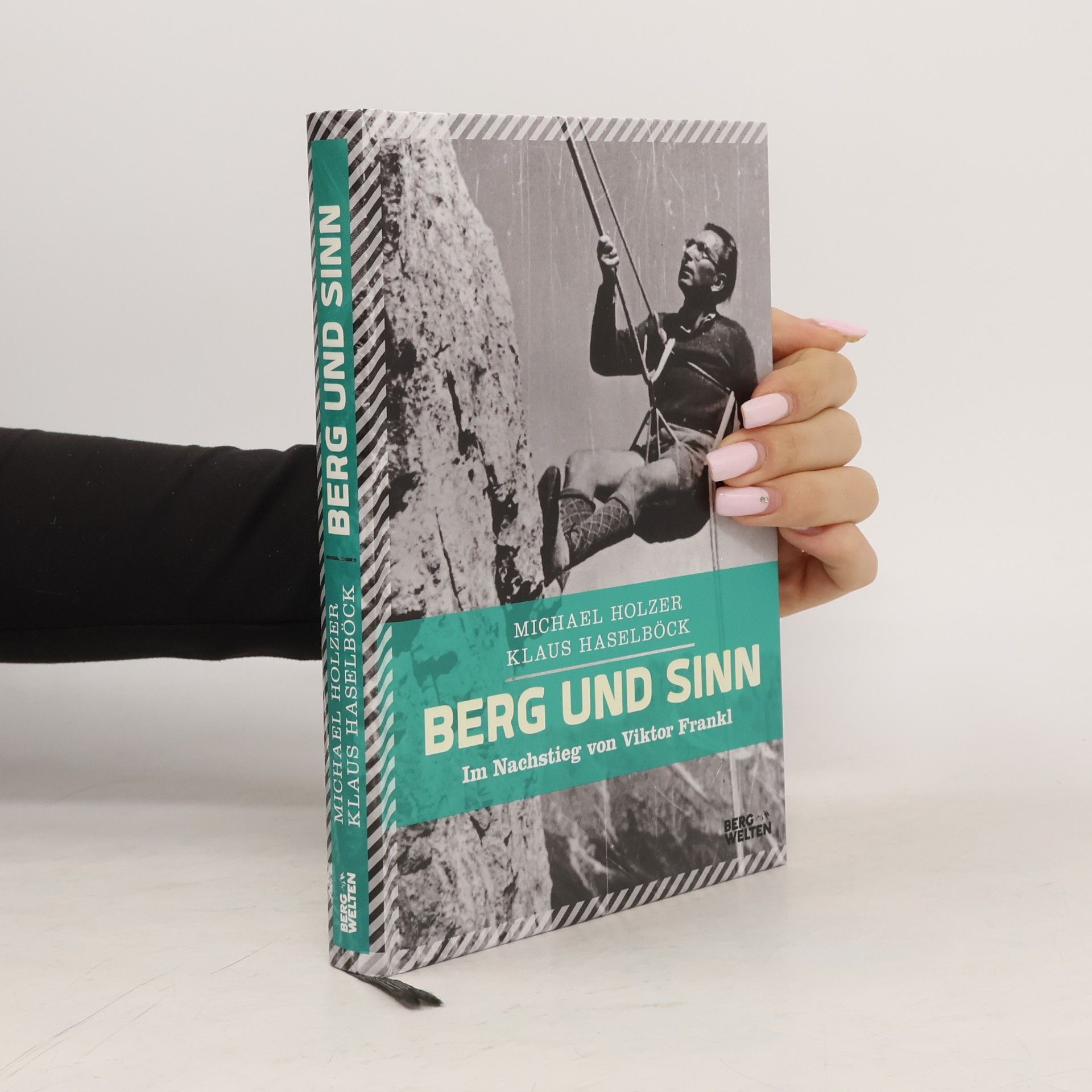 Michael Holzer Berg und Sinn
