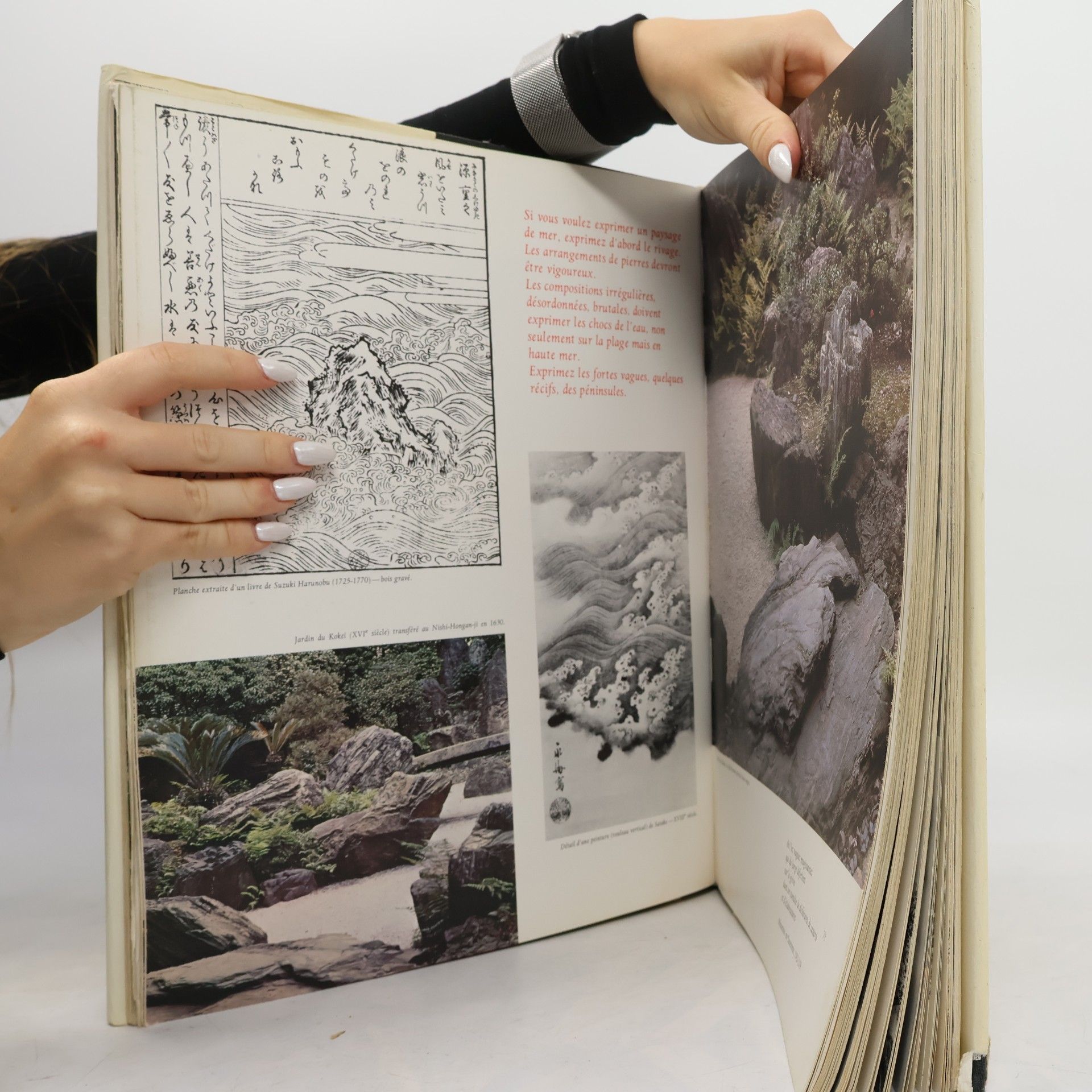 Autores varios Le Livre secret des Jardis Japonais