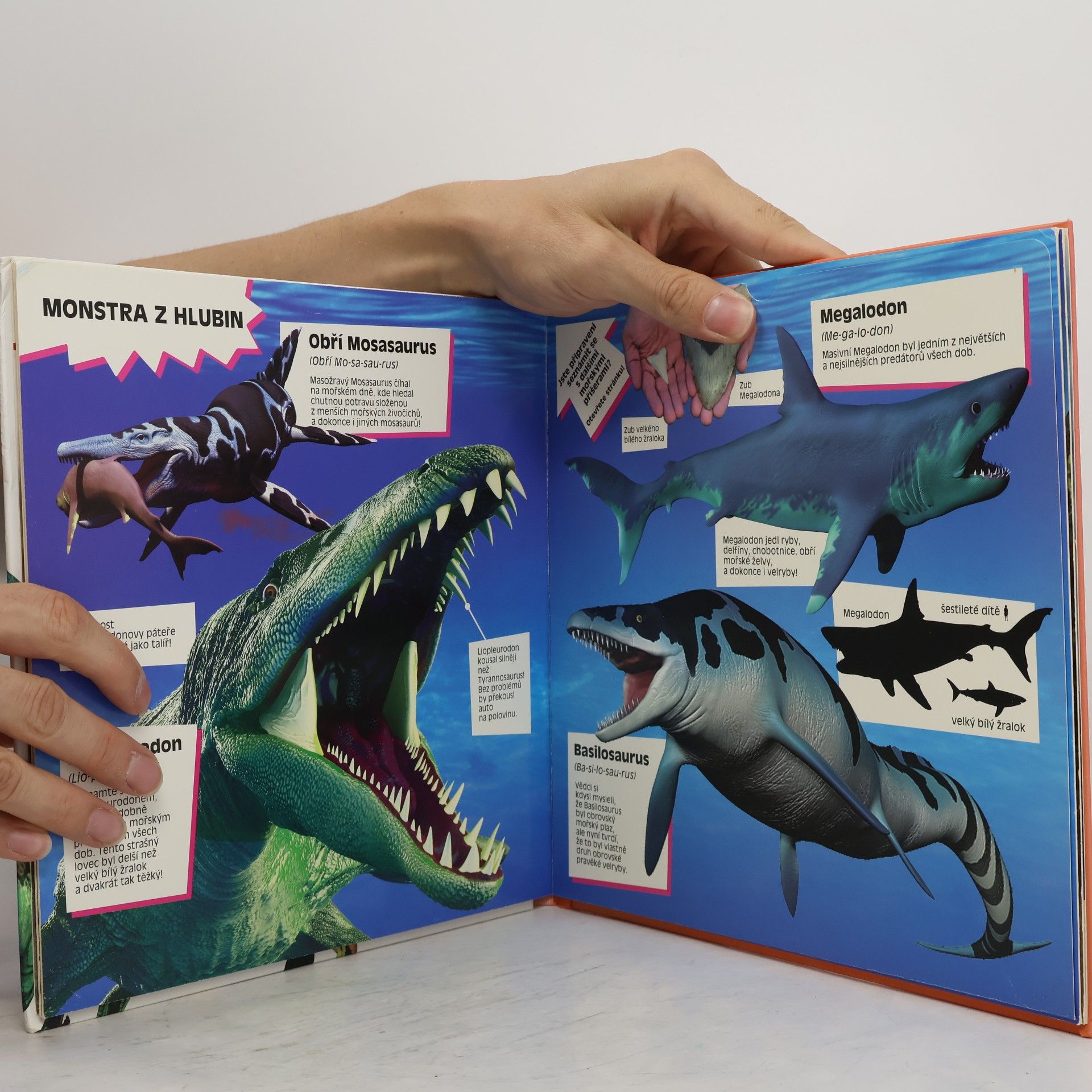 Marek Kurta Úžasní dinosauři : velké rozkládací strany plné faktů