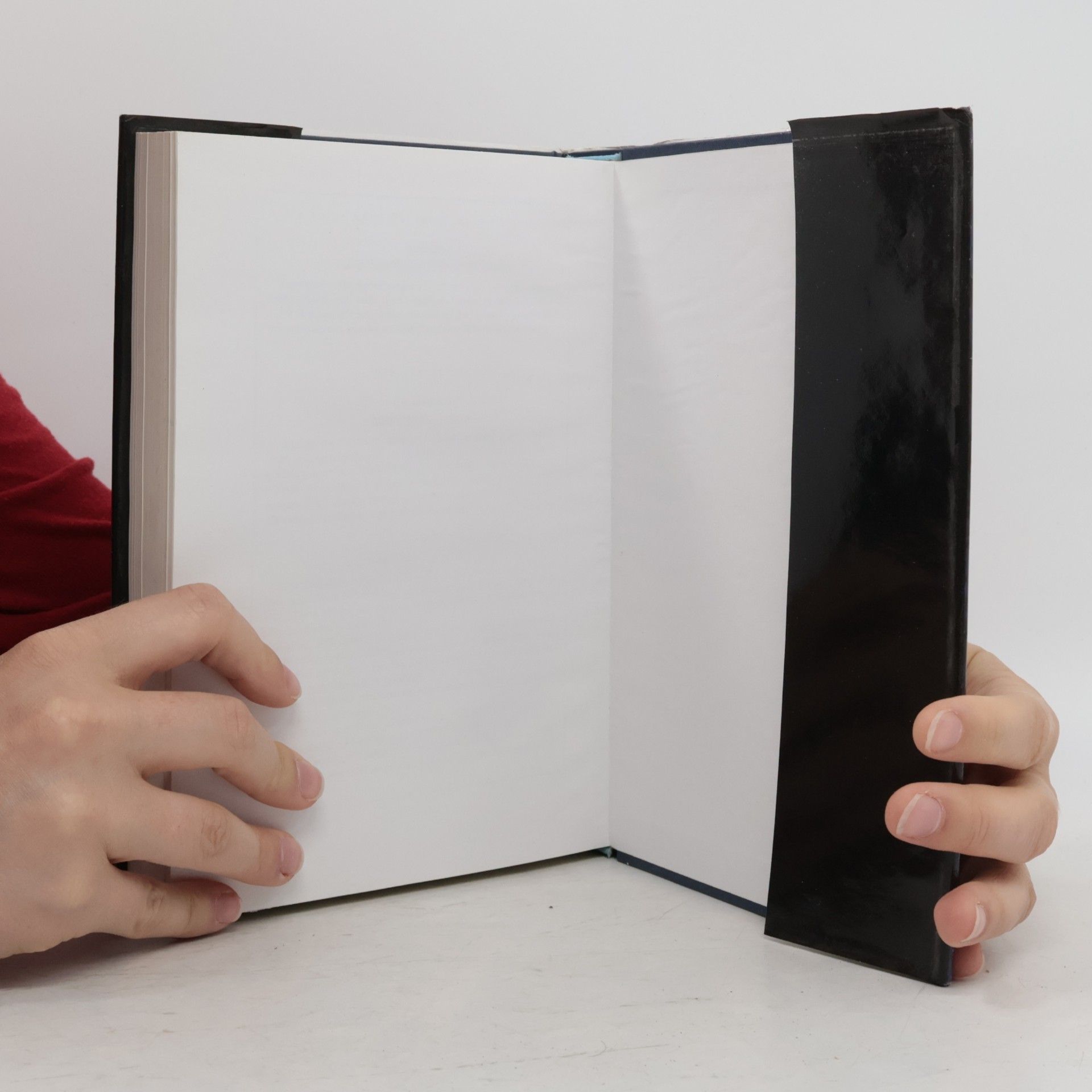 Maurice Nadeau Dějiny surrealismu a surrealistické dokumenty