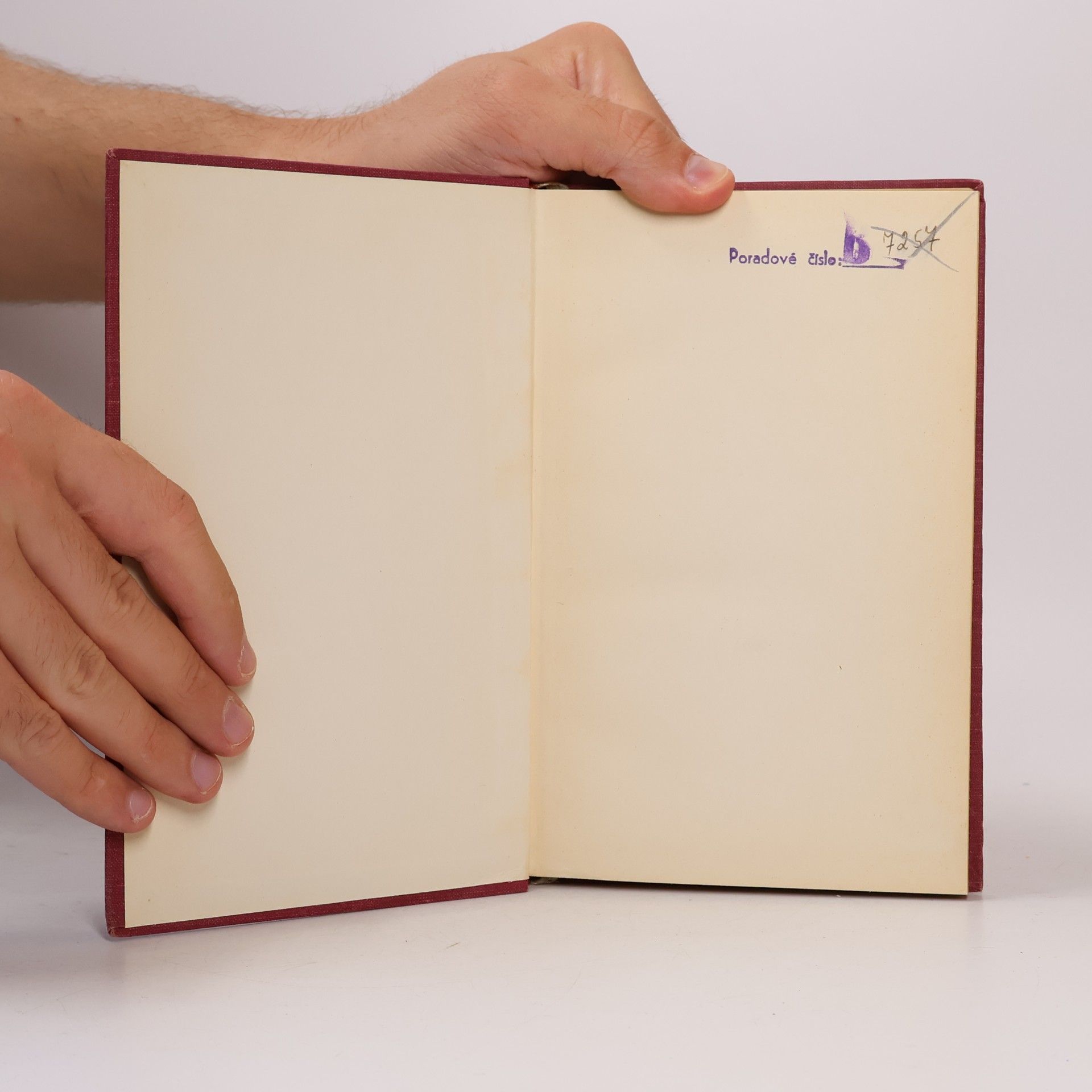 Raymond Queneau Můj přítel Pierot