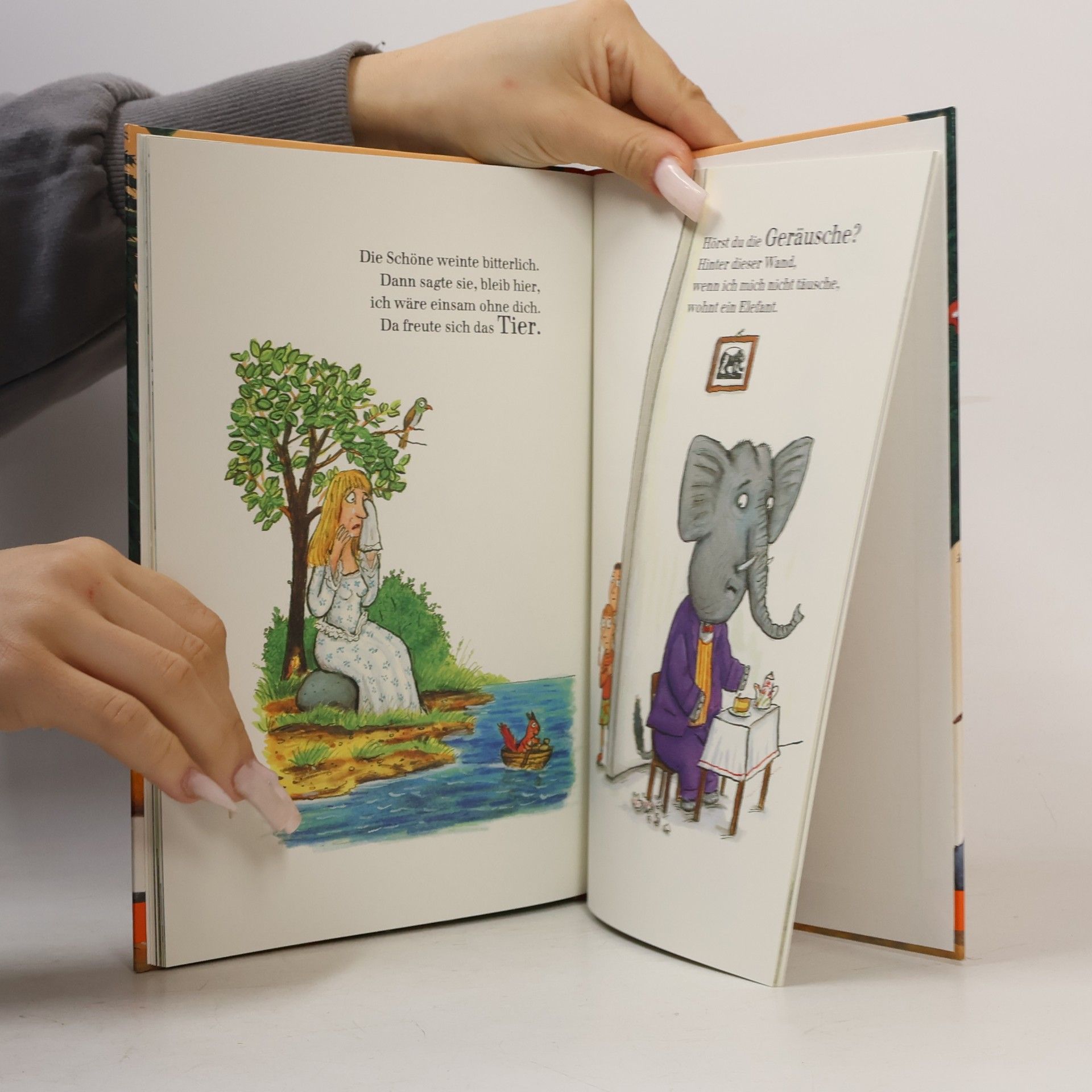 Axel Scheffler In die Wälder gegangen, einen Löwen gefangen