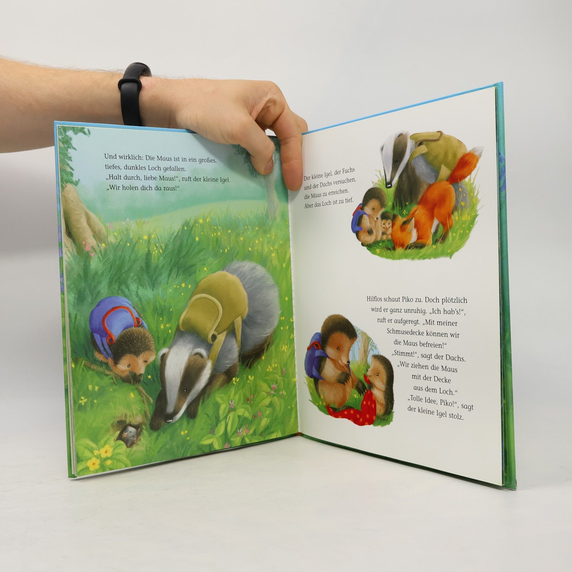 Christina M. Butler Der kleine Igel und die rote Schmusedecke