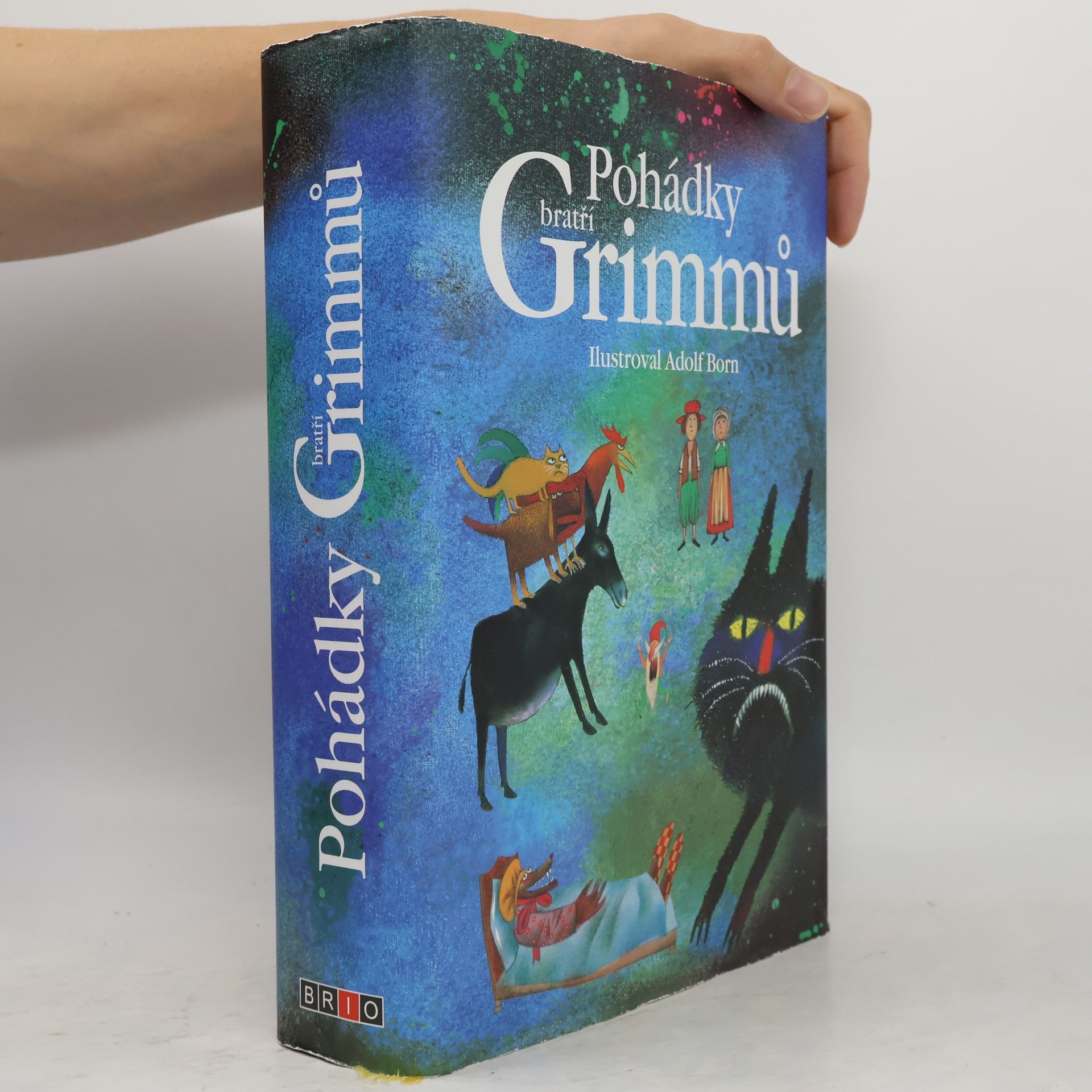 Jacob Ludwig Karl Grimm Pohádky bratří Grimmů