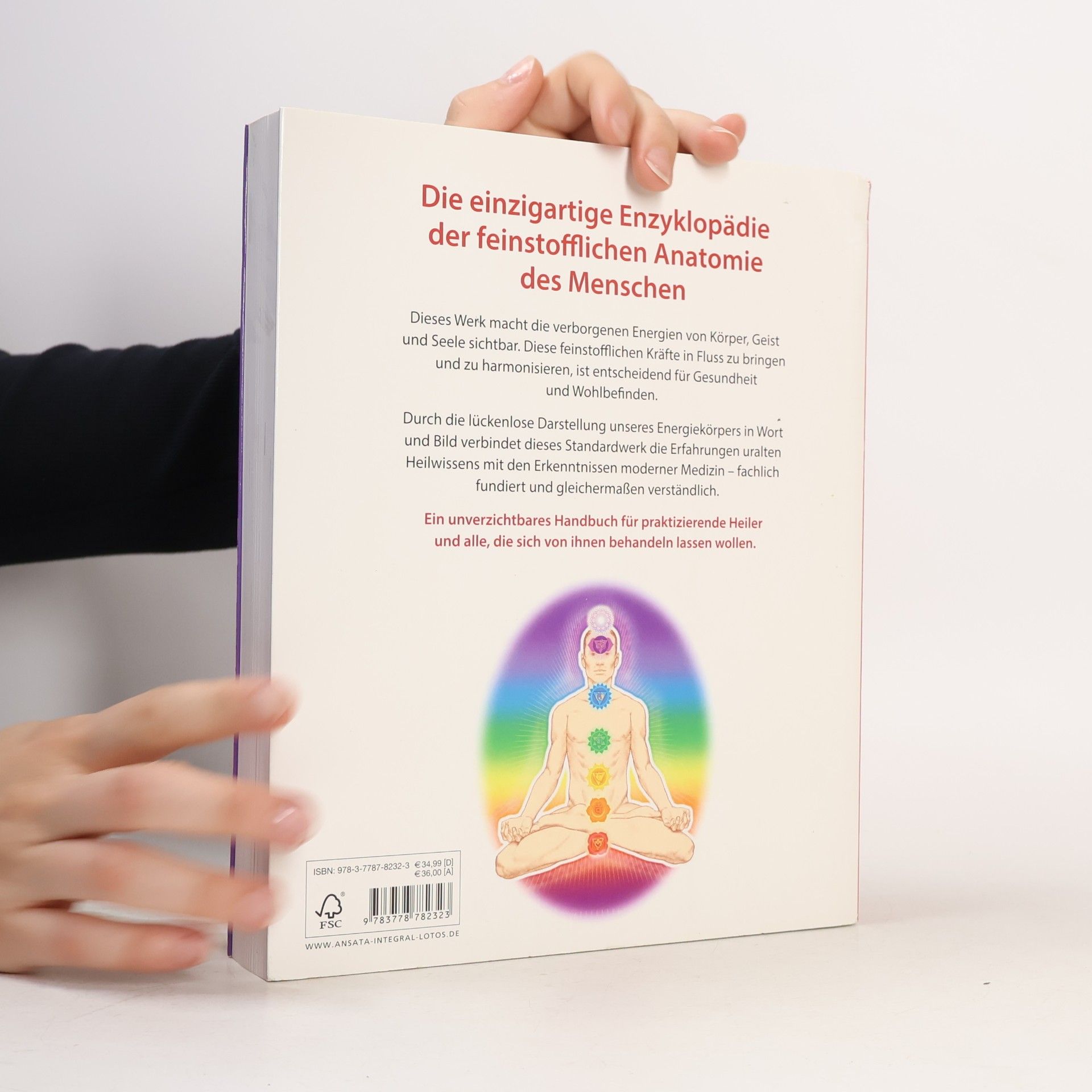 Cyndi Dale Der Energiekörper des Menschen