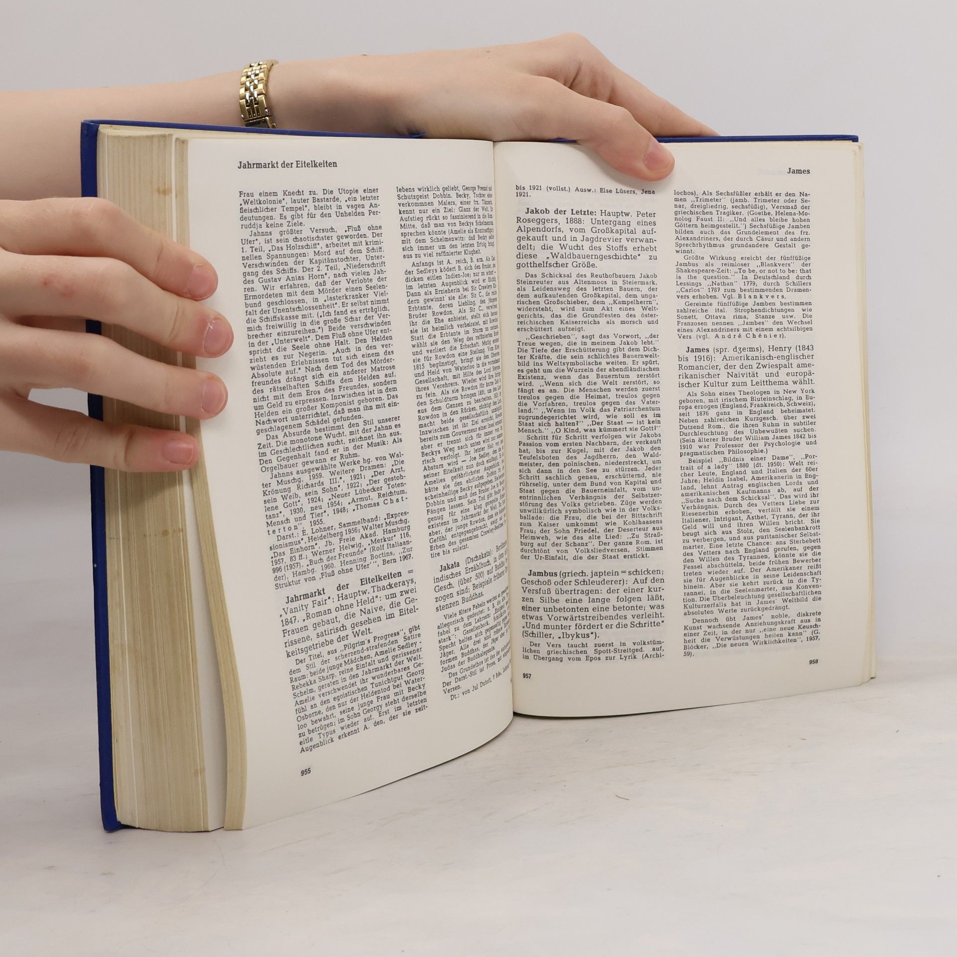 Autorenkollektiv Lexikon der Welt Literatur