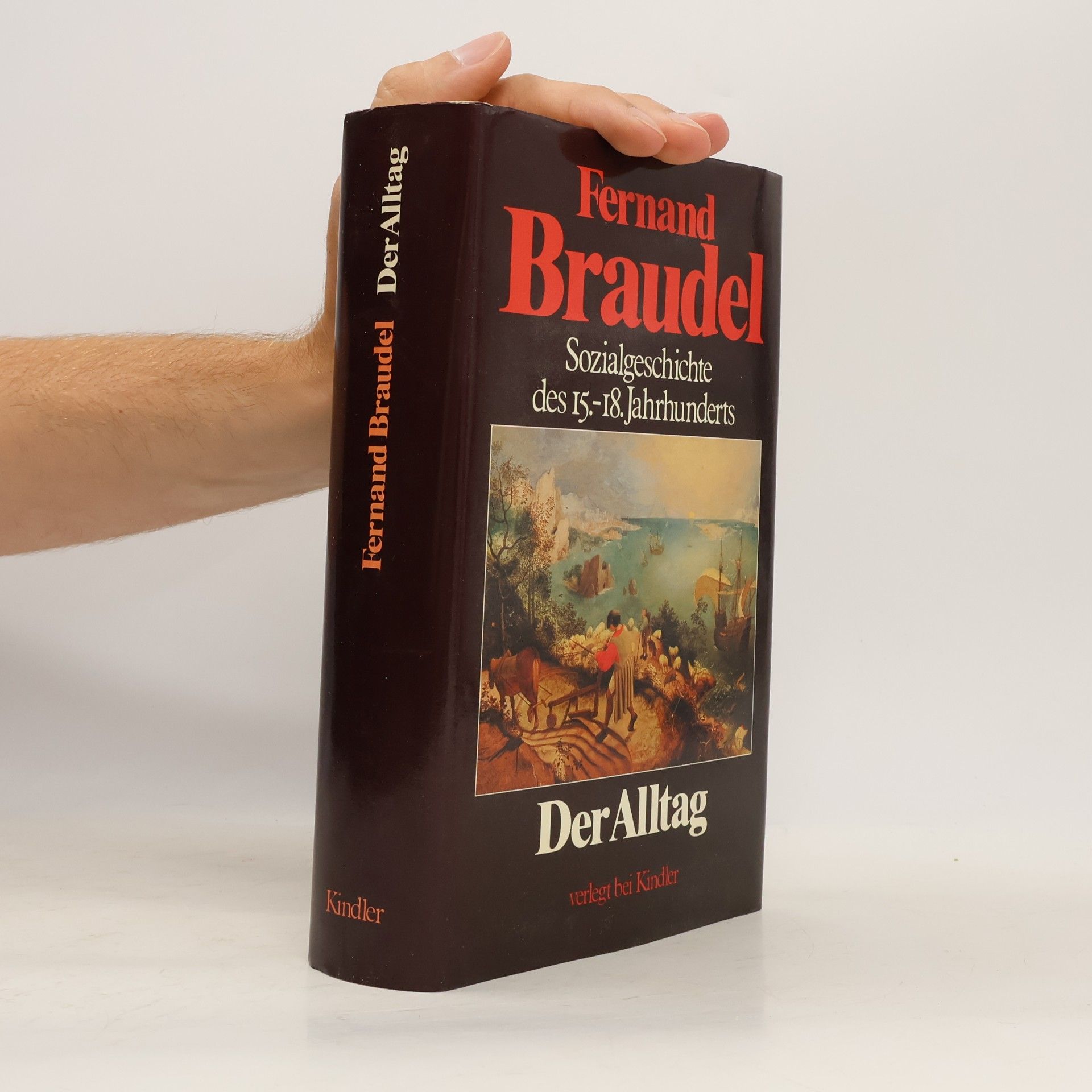 Fernard Braudel Sozialgeschichte des 15.-18. Jahrhunderts: Der Alltag