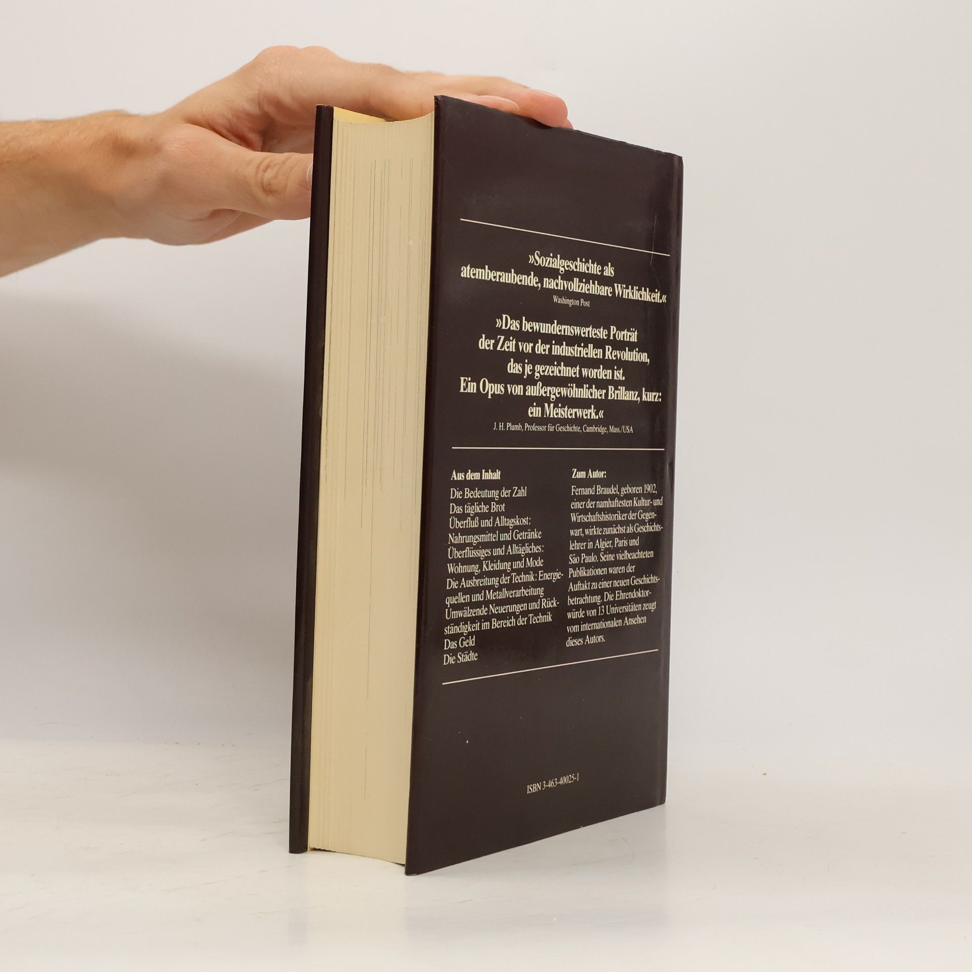 Fernard Braudel Sozialgeschichte des 15.-18. Jahrhunderts: Der Alltag