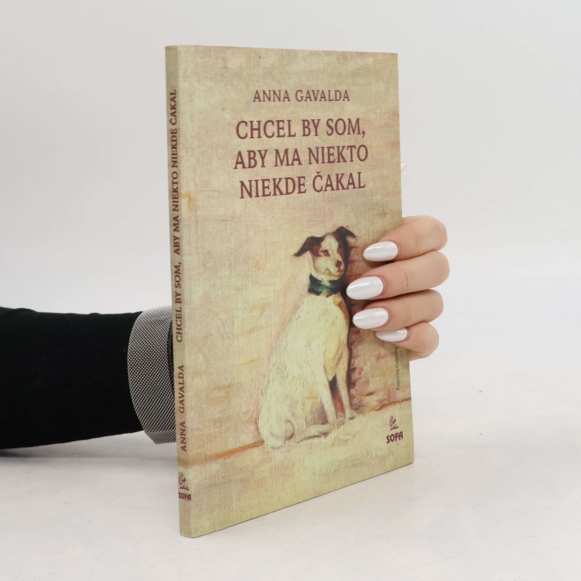 Anna Gavalda Chcel by som, aby na mňa niekto niekde čakal