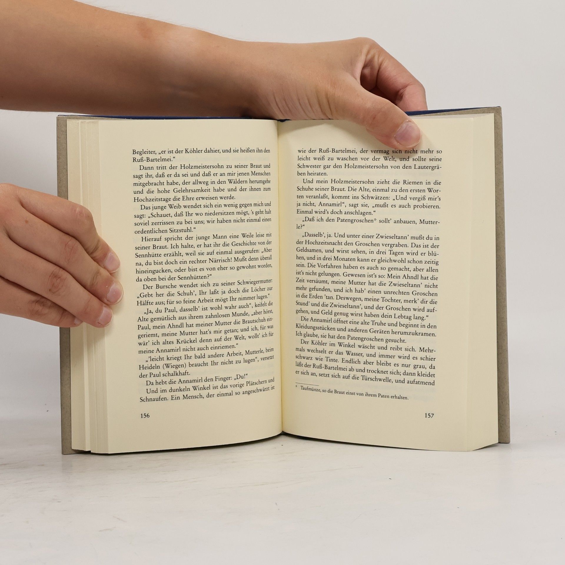 Peter Rosegger Die Schriften des Waldschulmeisters