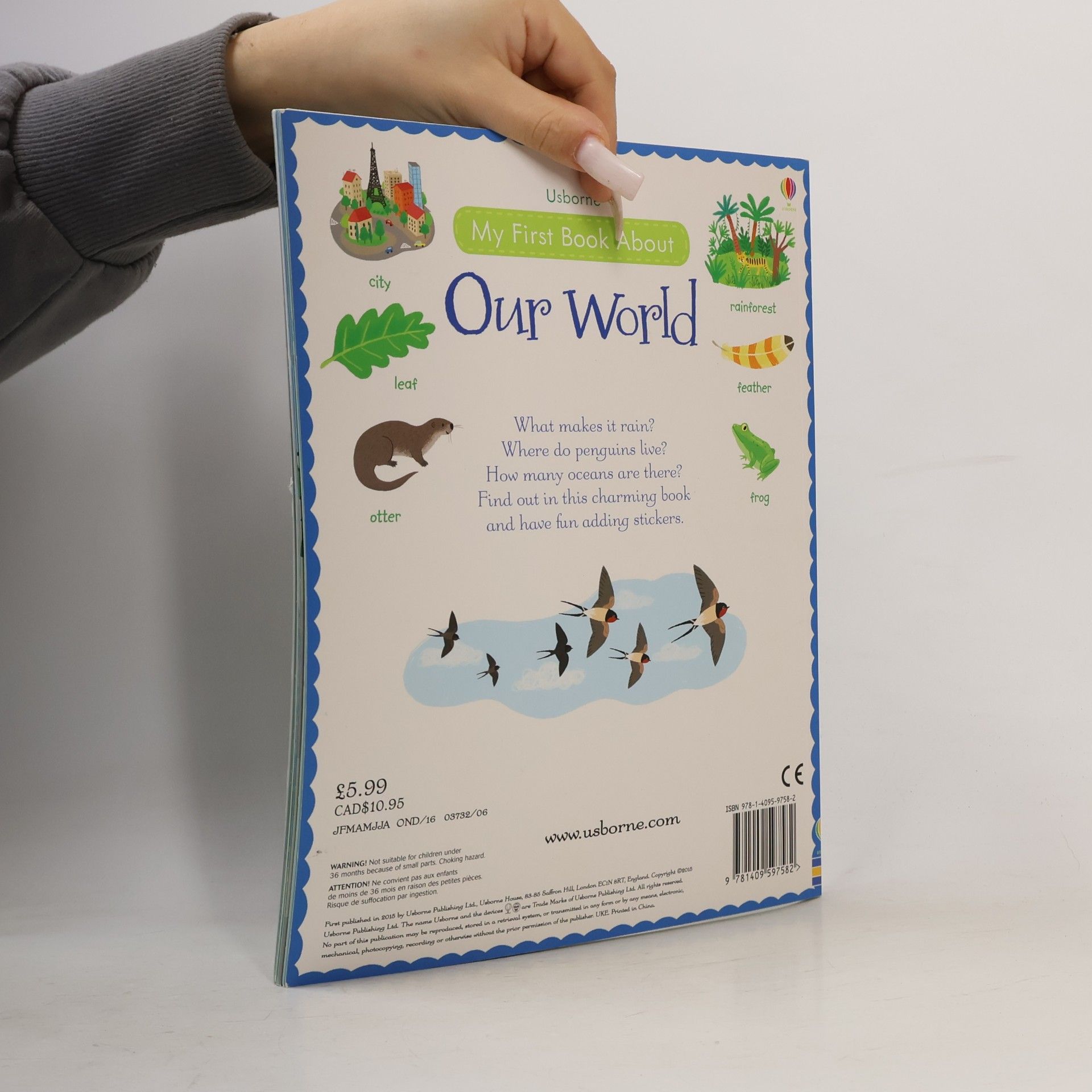 Felicity Brooks My First Book About Our World