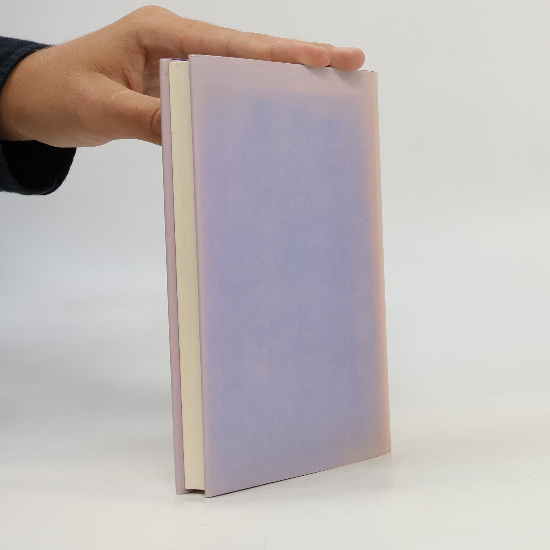 Peter Noll Der kleine Machiavelli : Handbuch der Macht für den alltäglichen Gebrauch