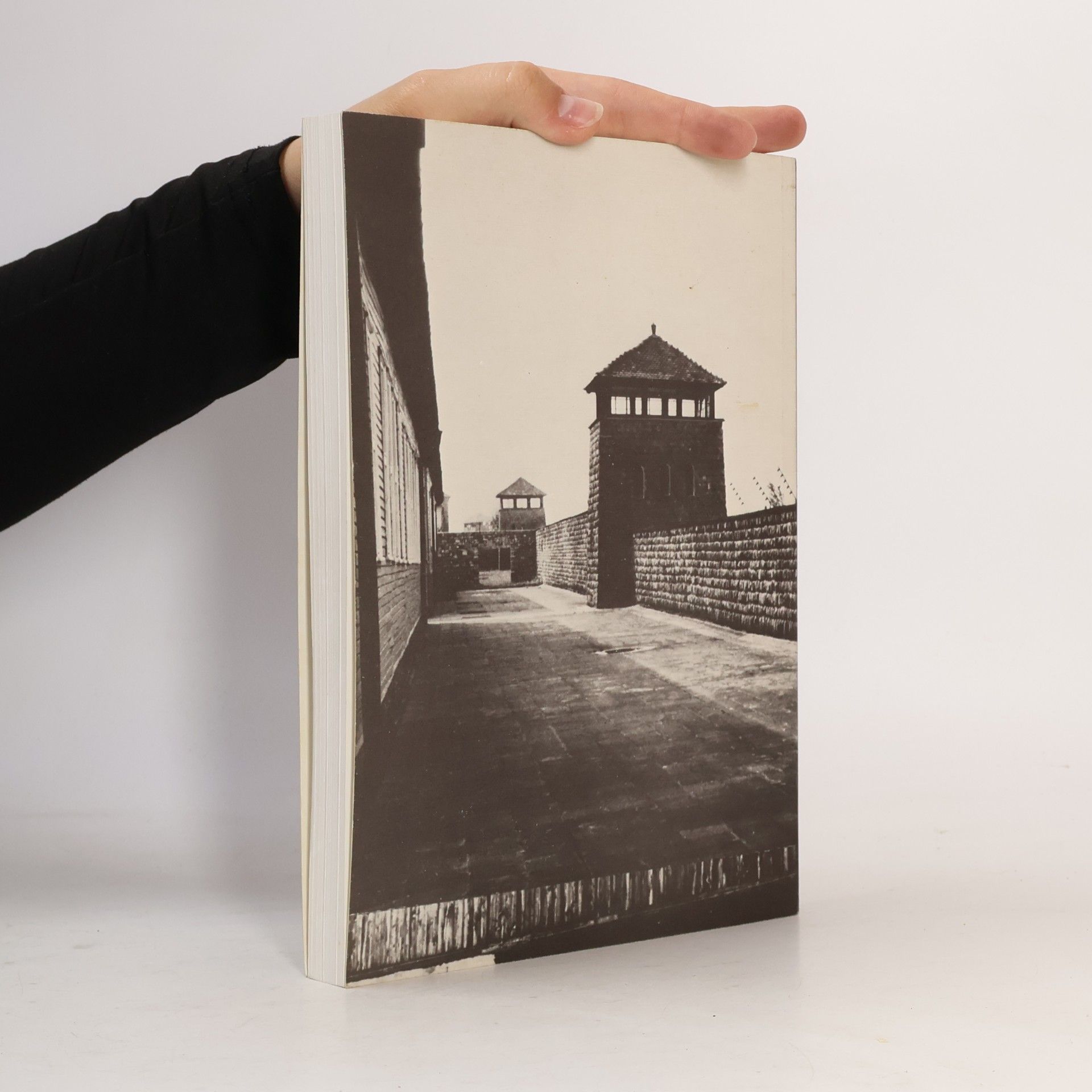 Hans Marsalek Die Geschichte des Konzentrationslagers Mauthausen